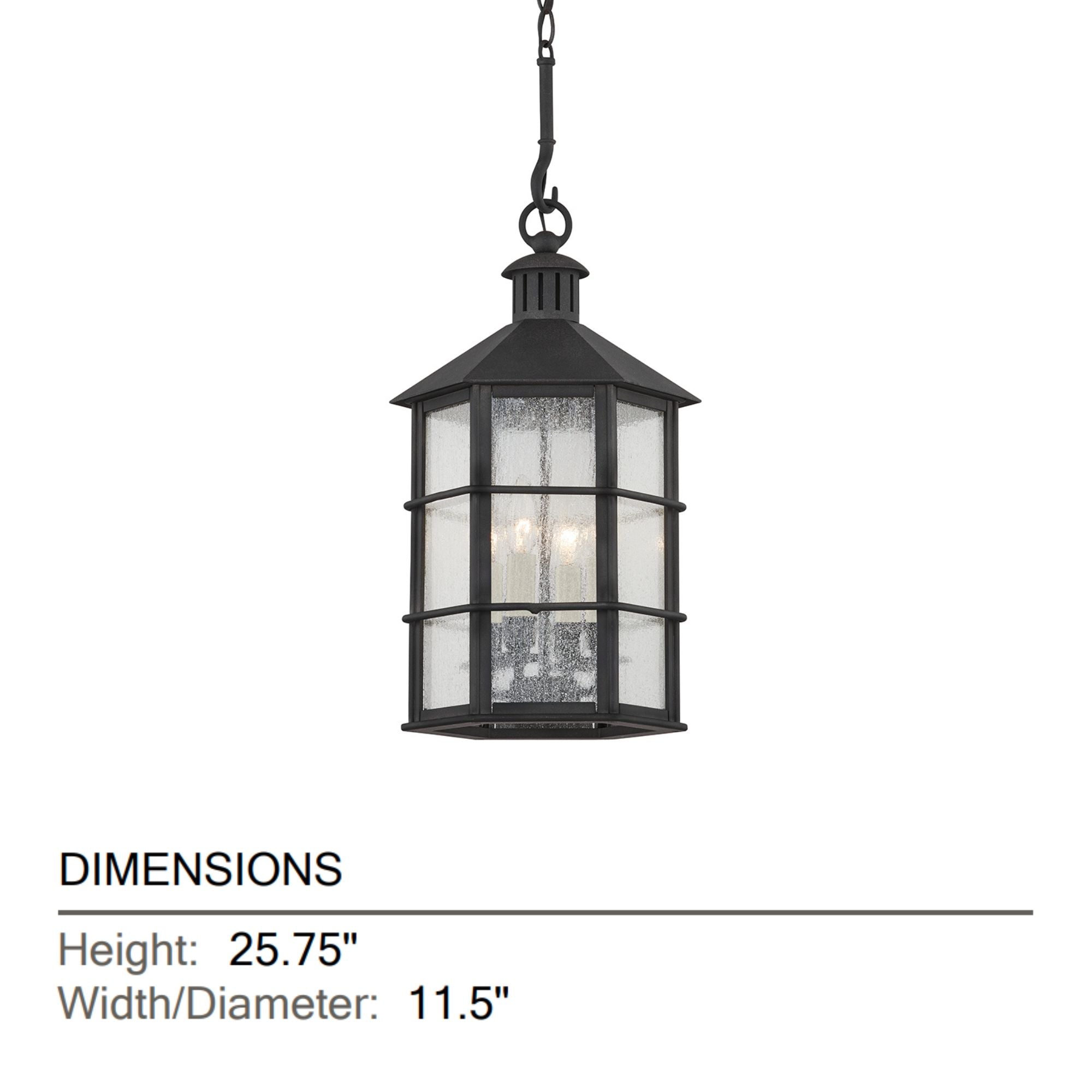 Troy Lighting - Lake County 26" 4-Light Outdoor Lantern, French Iron Finish | Bees Lighting