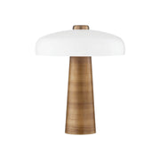 Lush 19" Table Lamp, Patina Brass Finish