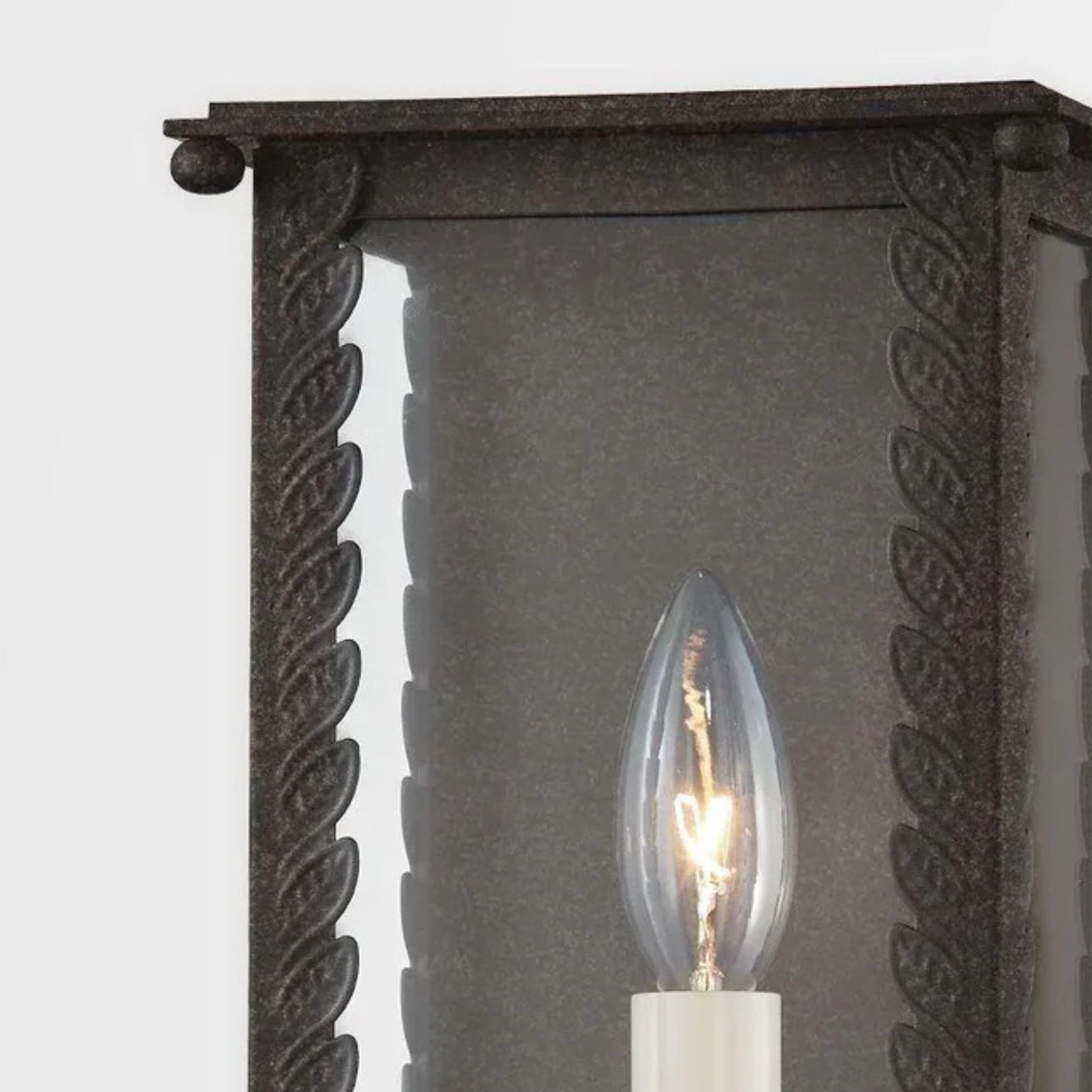 Troy Lighting - Zuma 13" Outdoor Wall Sconce, French Iron Finish | Bees Lighting
