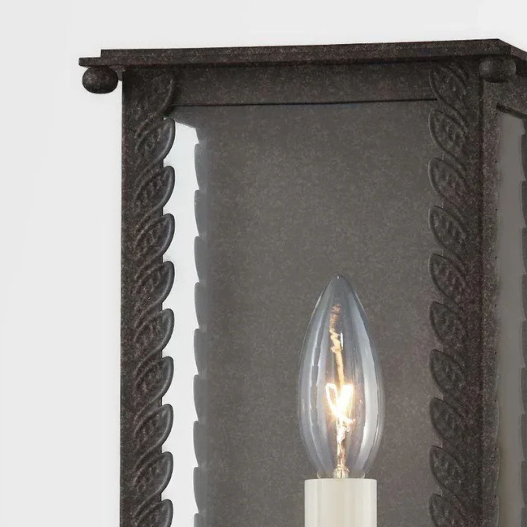 Troy Lighting - Zuma 13" Outdoor Wall Sconce, French Iron Finish | Bees Lighting