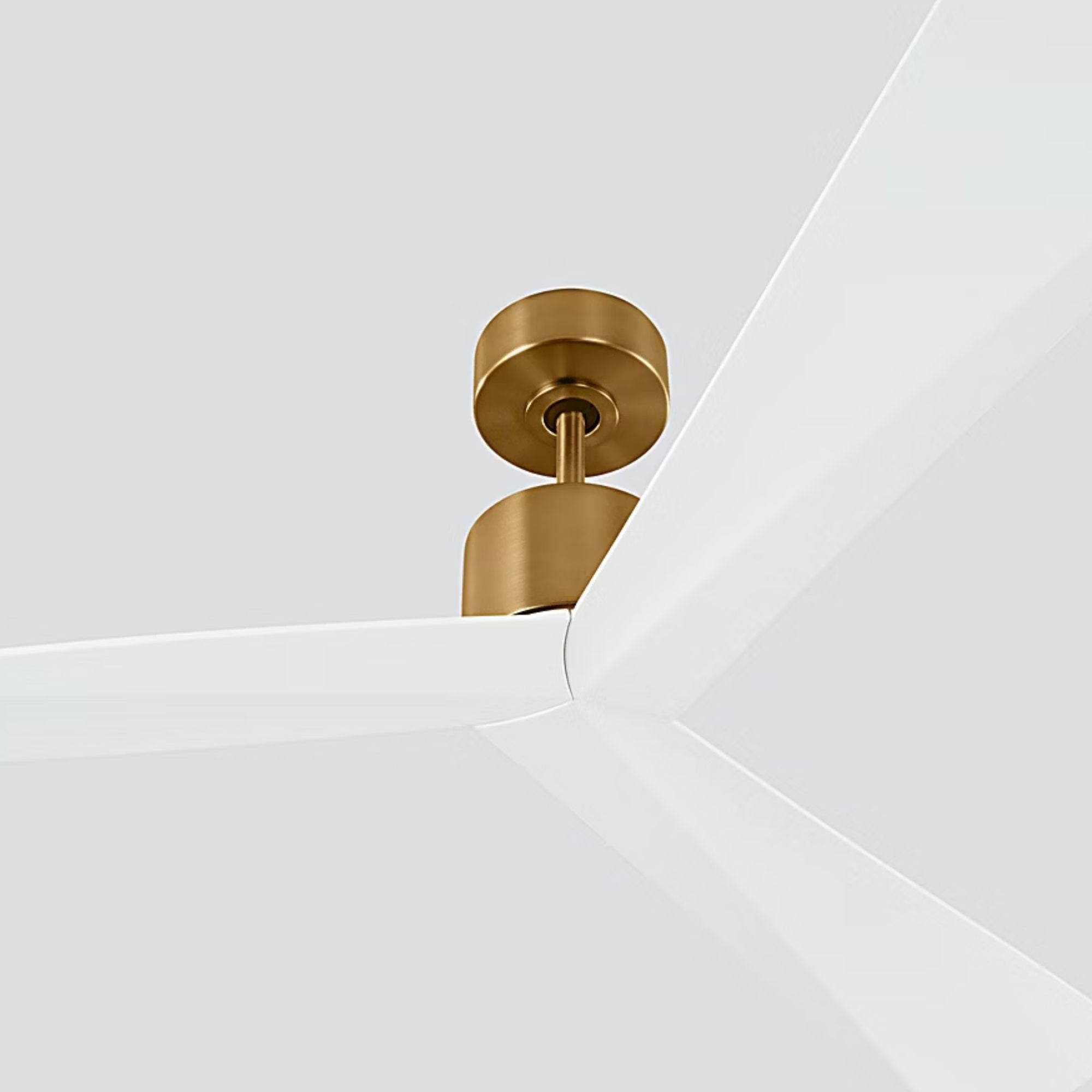 Adler 60" Burnished Brass & Matte White Ceiling Fan with Remote
