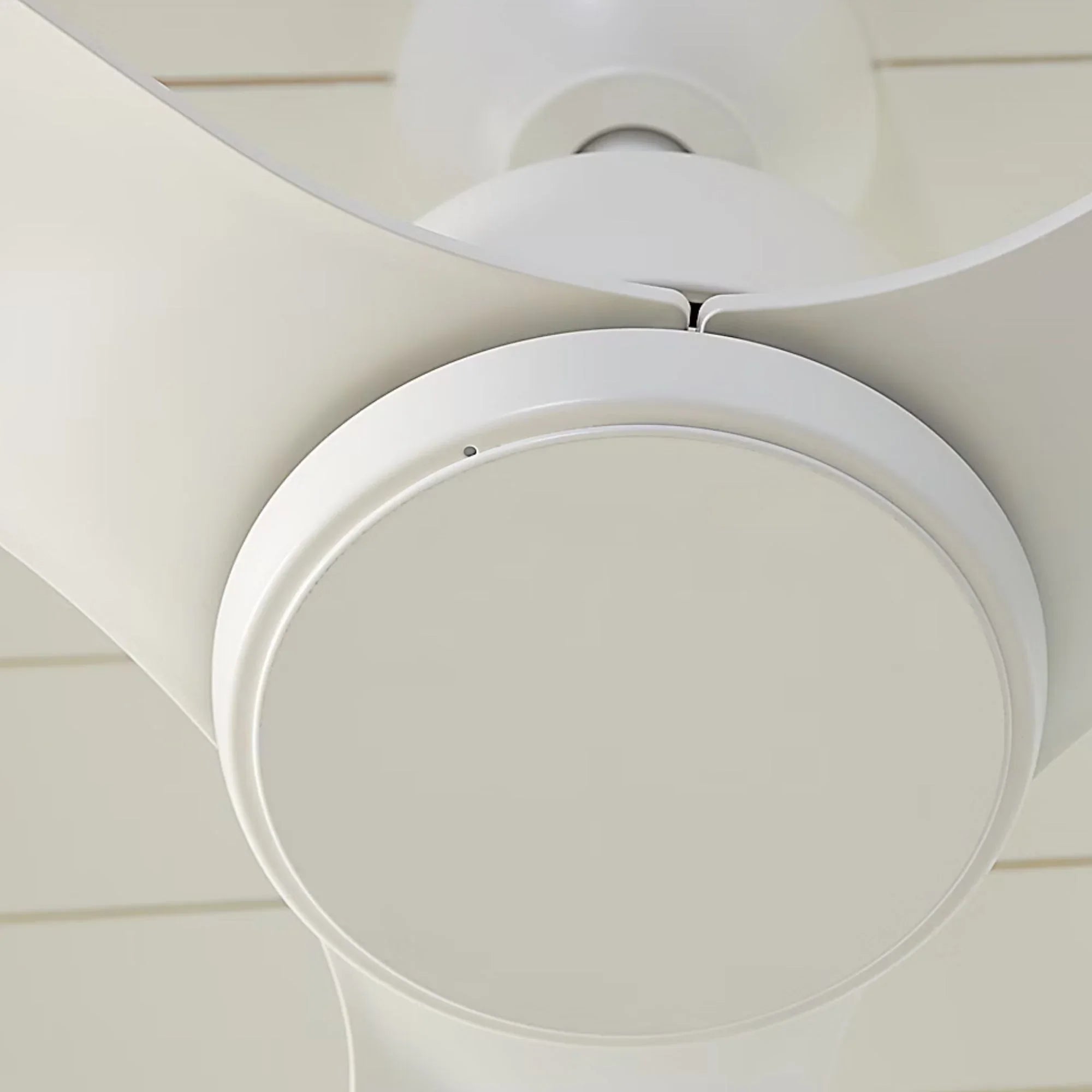 Avila Coastal 54" Midnight Black Outdoor Ceiling Fan with Light & Remote