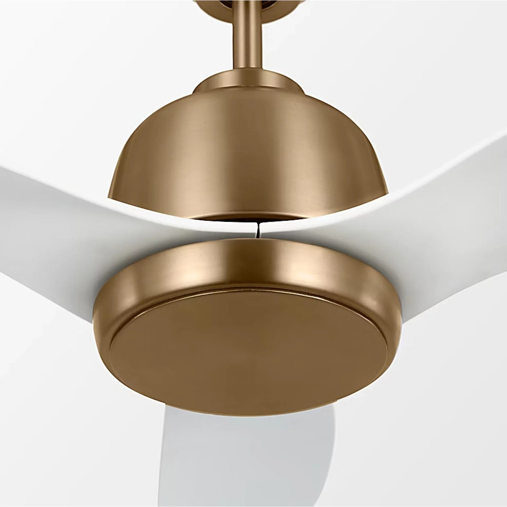 Avila 44" Satin Brass Ceiling Fan with Light & Remote