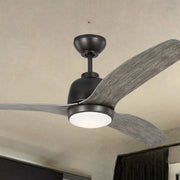 Avila 54" Aged Pewter Ceiling Fan with Light & Remote