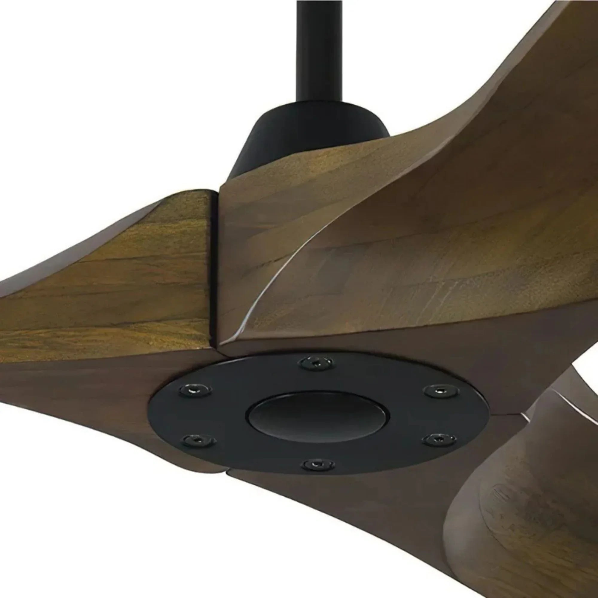 Maverick 52" Black & Walnut Damp Rated Ceiling Fan with Remote