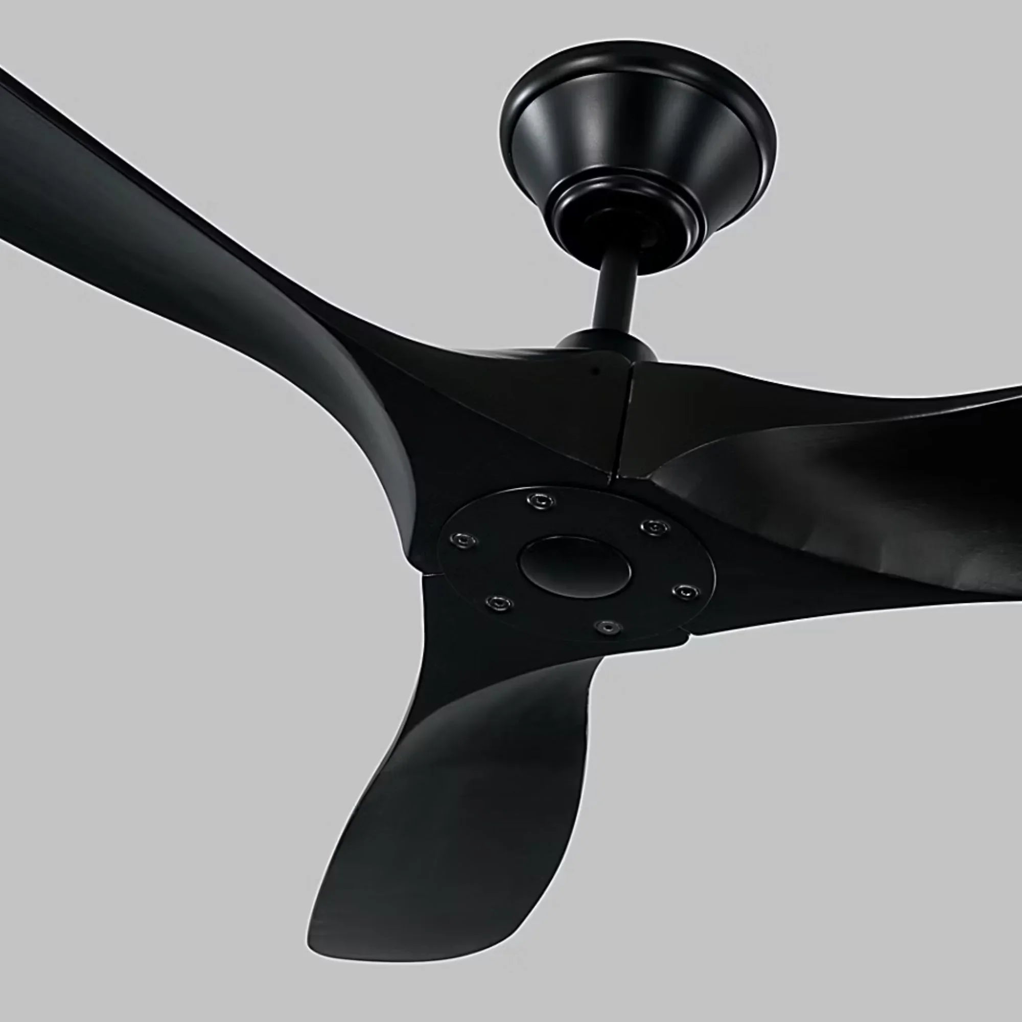 Maverick 52" Matte Black Damp Rated Ceiling Fan with Remote