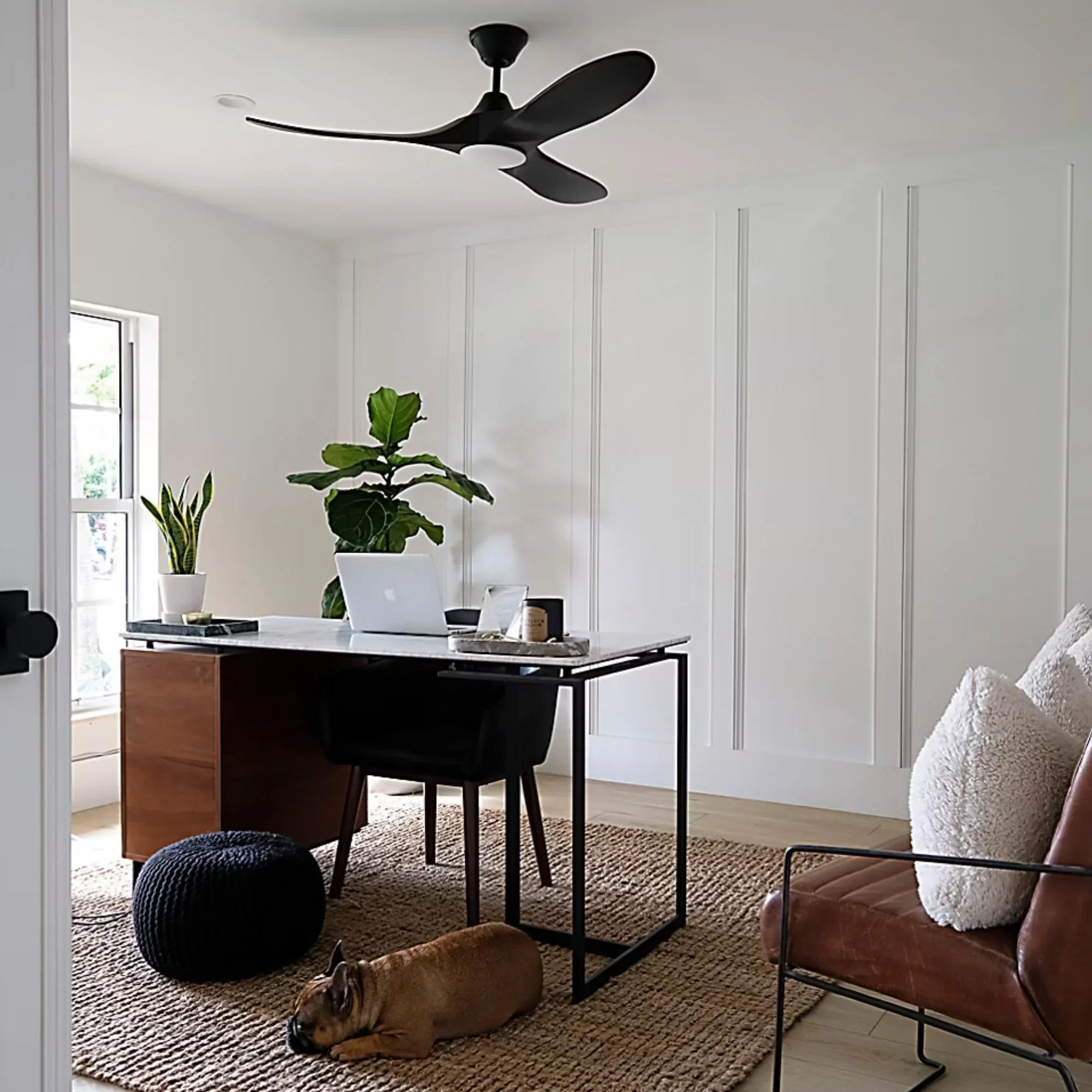 Maverick 52" Matte Black Damp Rated LED Ceiling Fan with Remote
