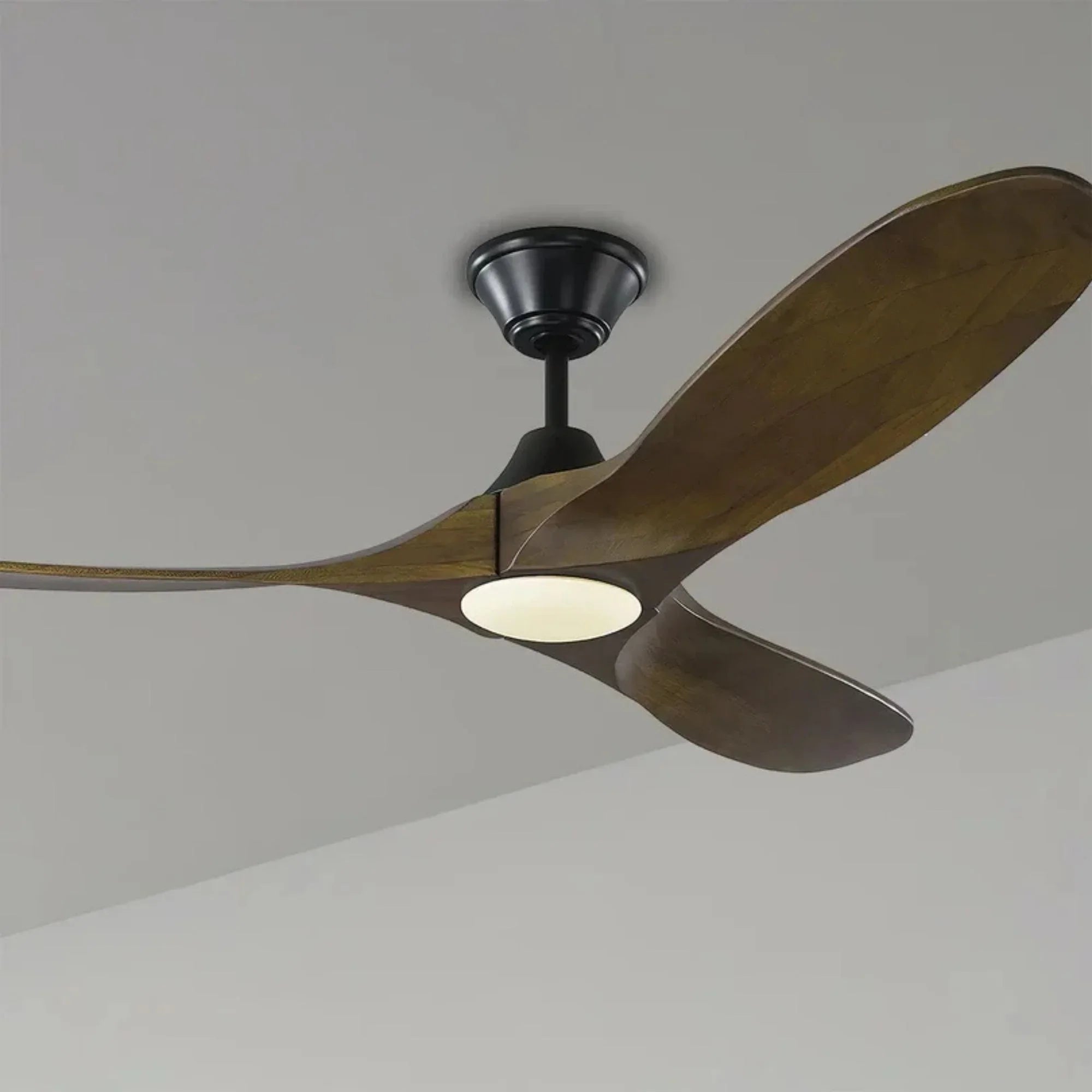 Maverick 52" Black & Walnut Damp Rated LED Ceiling Fan with Remote