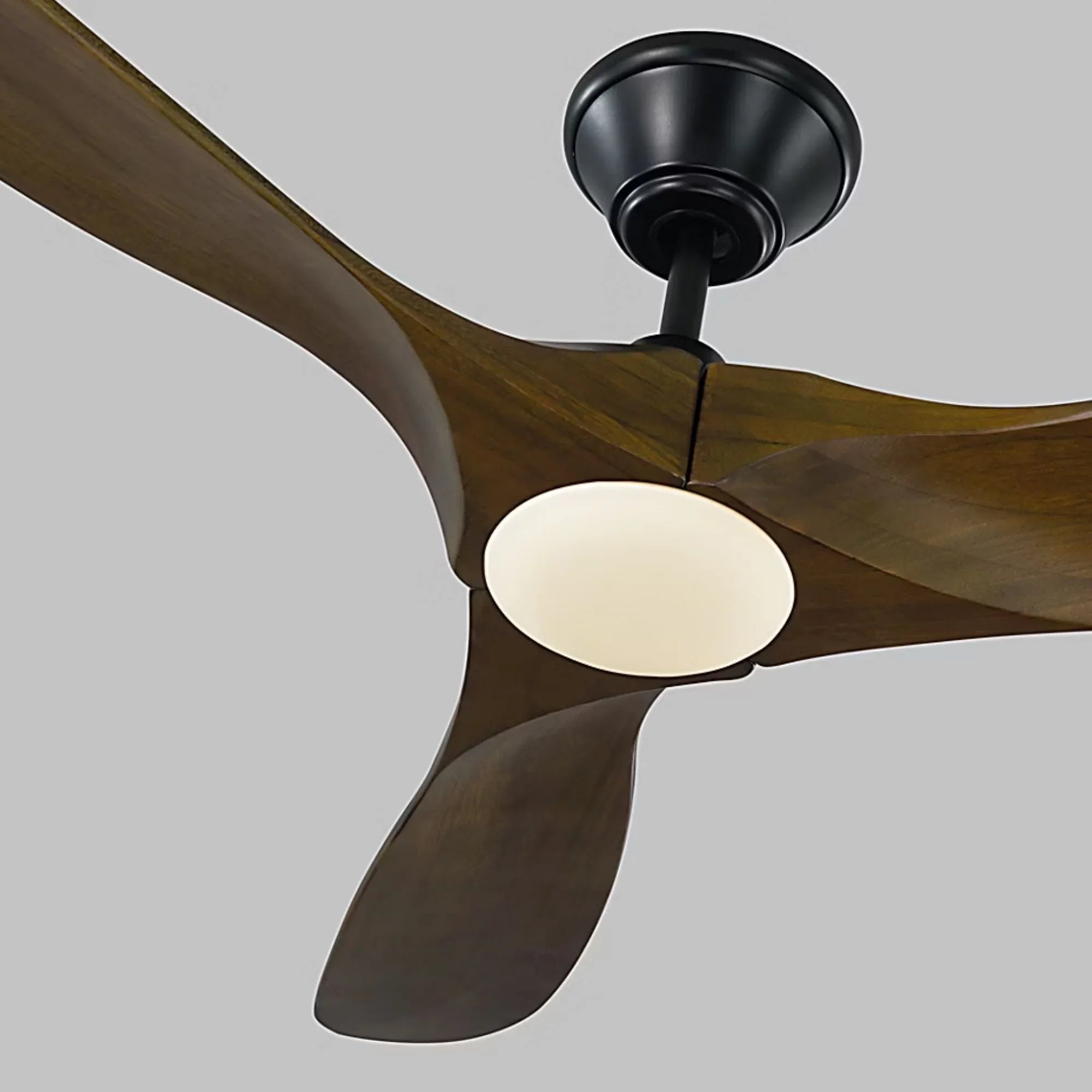 Maverick 52" Black & Walnut Damp Rated LED Ceiling Fan with Remote
