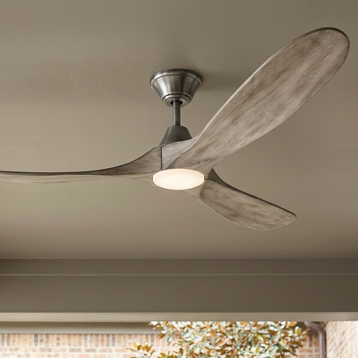 Ceiling fan with weathered oak blades and frosted LED light lens