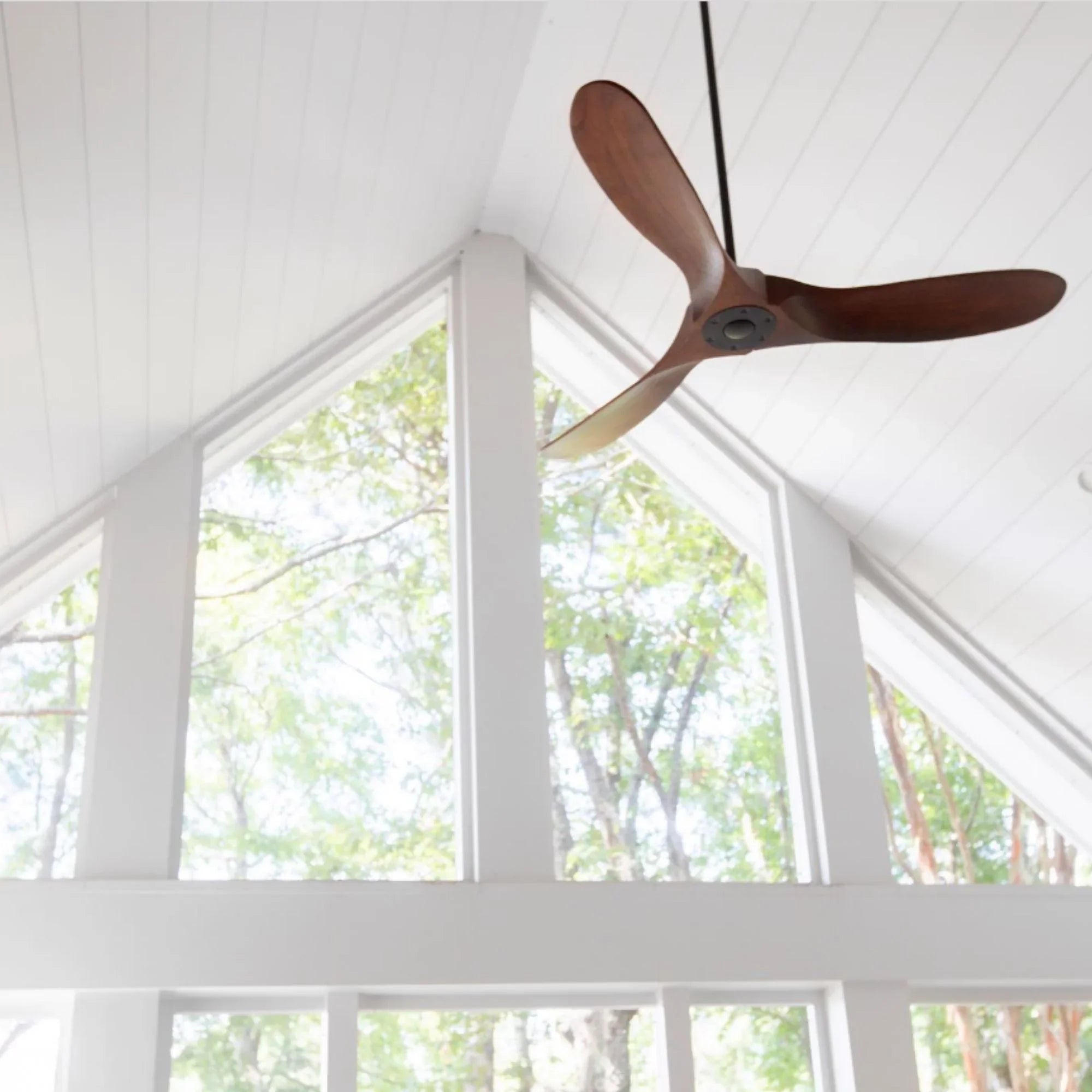 Maverick 60" Black & Walnut Damp Rated Ceiling Fan with Remote