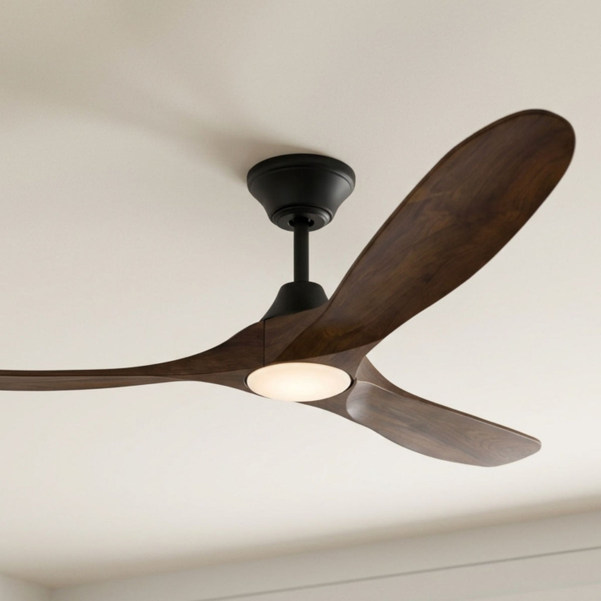 Matte black LED ceiling fan with dark walnut blades and flush circular light