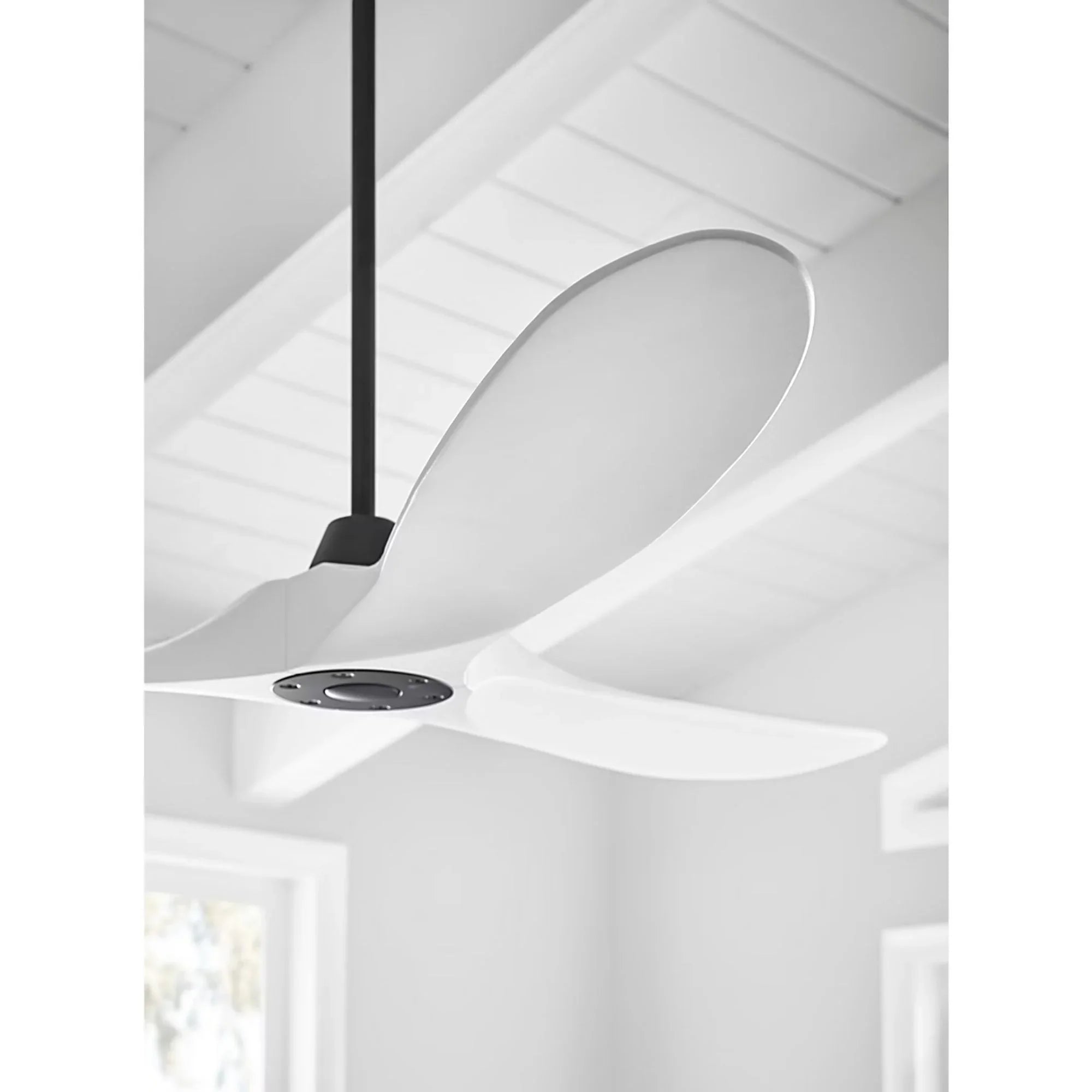 Maverick 60" Matte White Damp Rated LED Ceiling Fan with Remote