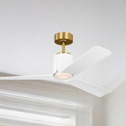 Visual Comfort Fan - Peel Smart 52" Burnished Brass LED Ceiling Fan with Remote | Bees Lighting