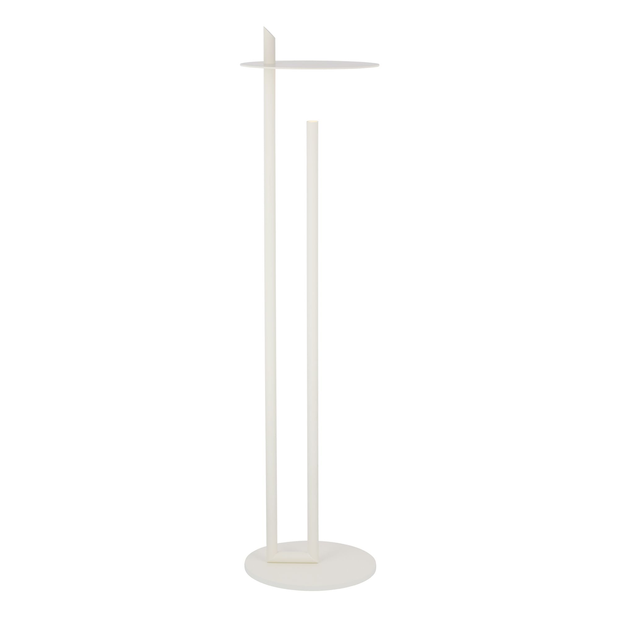 Fielle 65" LED Floor Lamp, 120-240V, Soft White Finish
