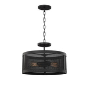 Gereon 16" 2-Light Semi-Flush Convertible Pendant, Black Finish