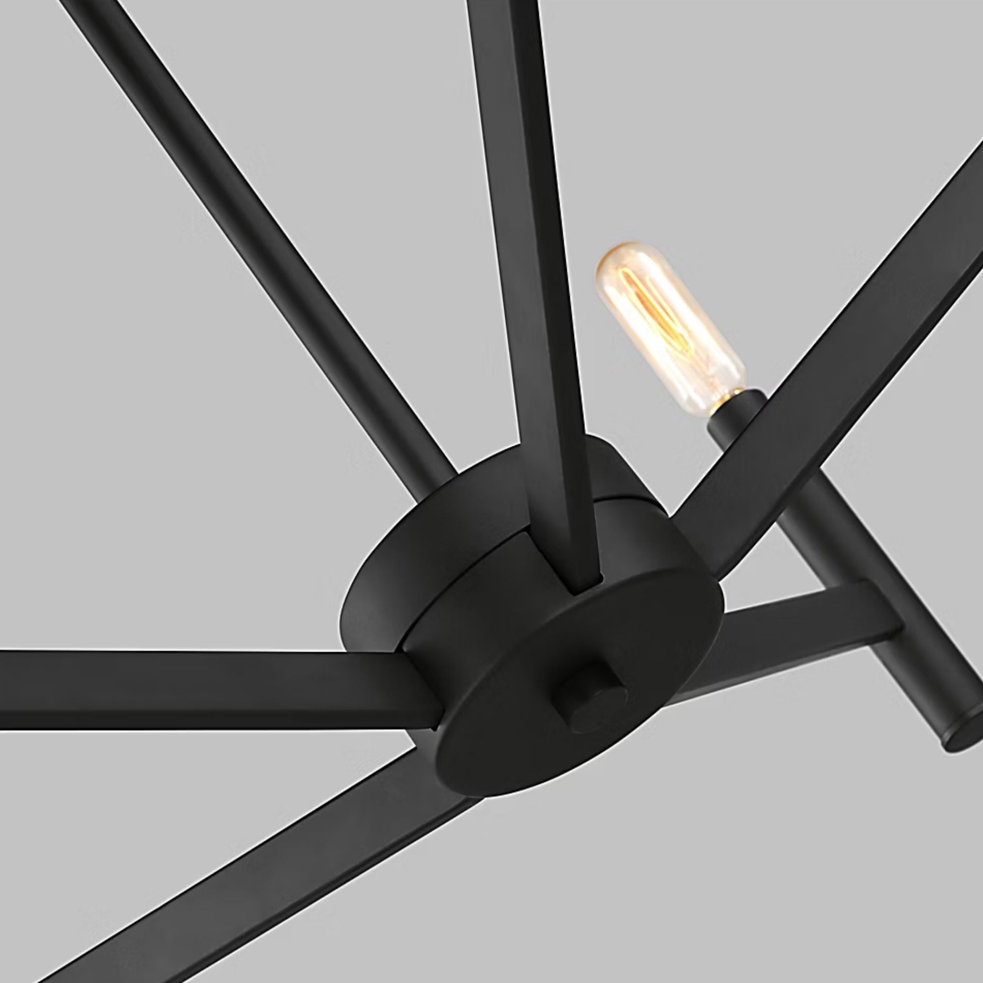 Vector 28" 5-Light Chandelier, Midnight Black Finish