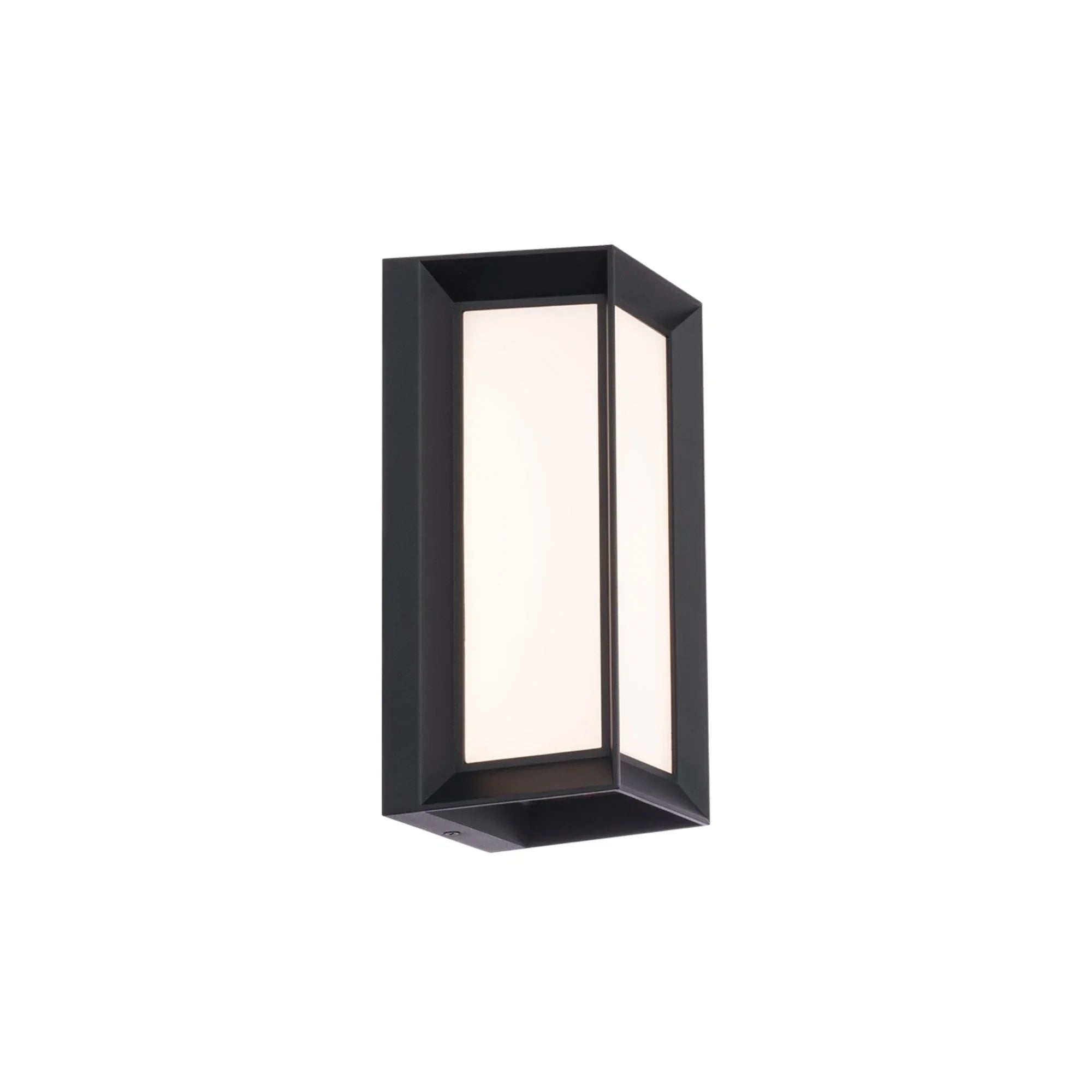 Argo 10" LED Outdoor Wall Sconce, Black Finish