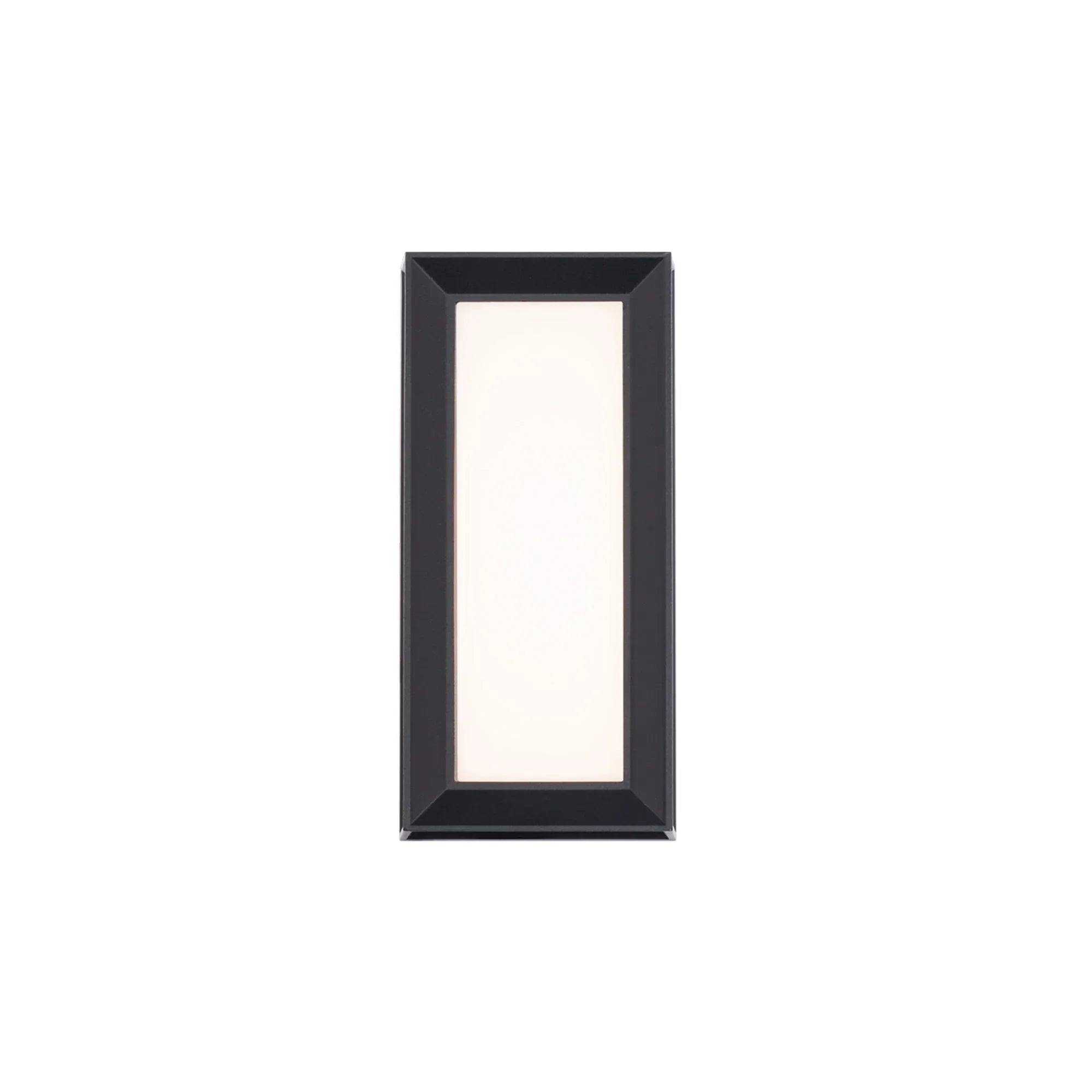 Argo 10" LED Outdoor Wall Sconce, Black Finish