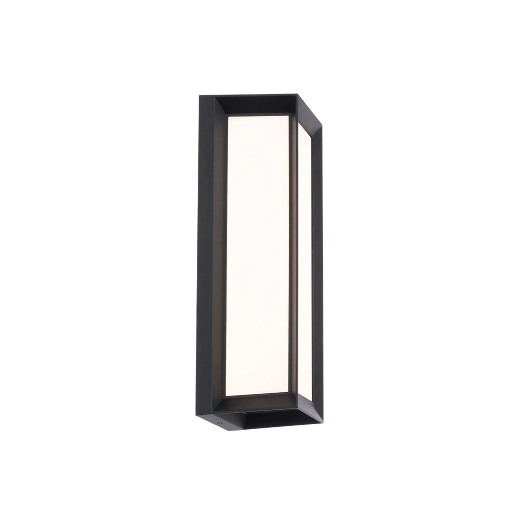 Argo 16" LED Outdoor Wall Sconce, Black Finish