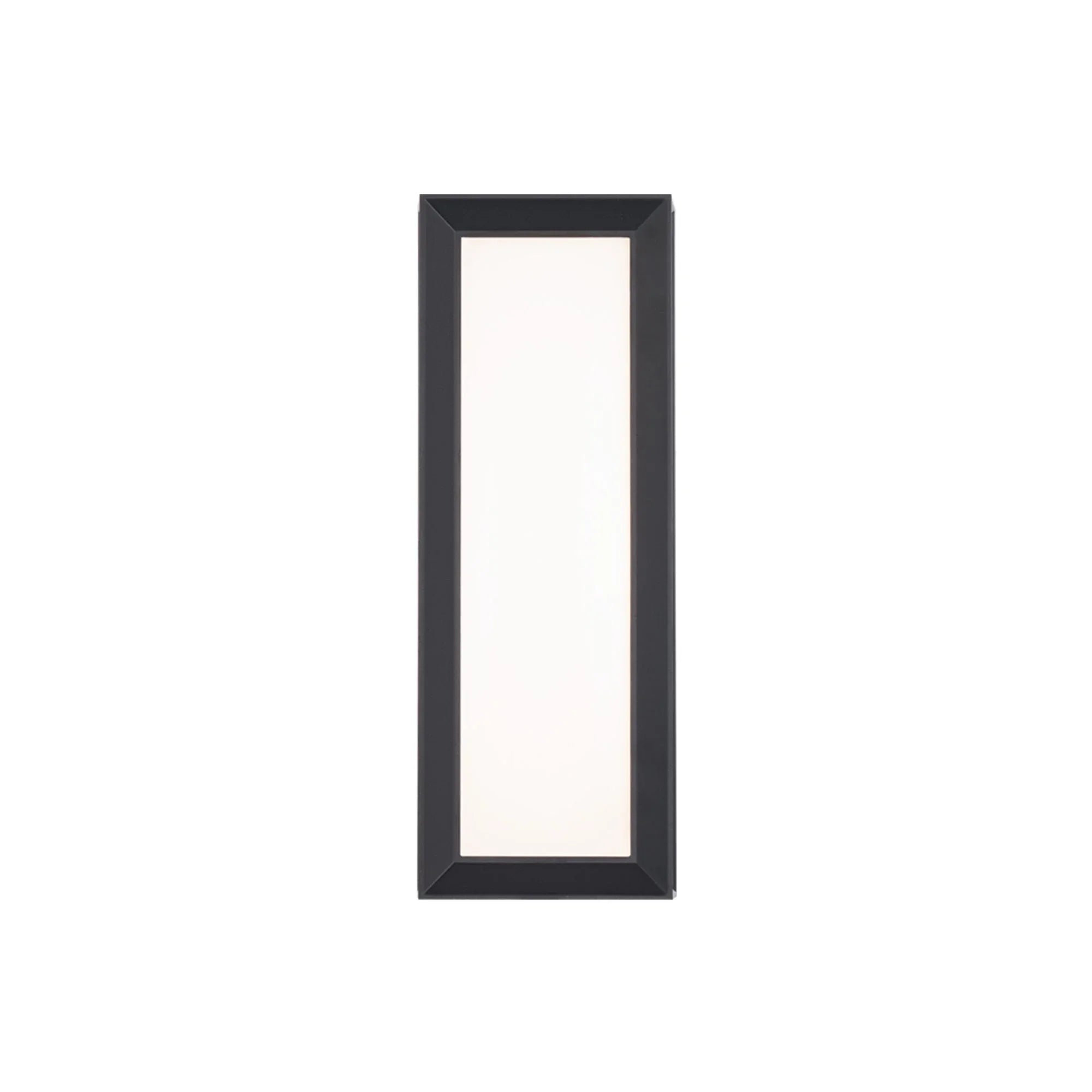 Argo 16" LED Outdoor Wall Sconce, Black Finish
