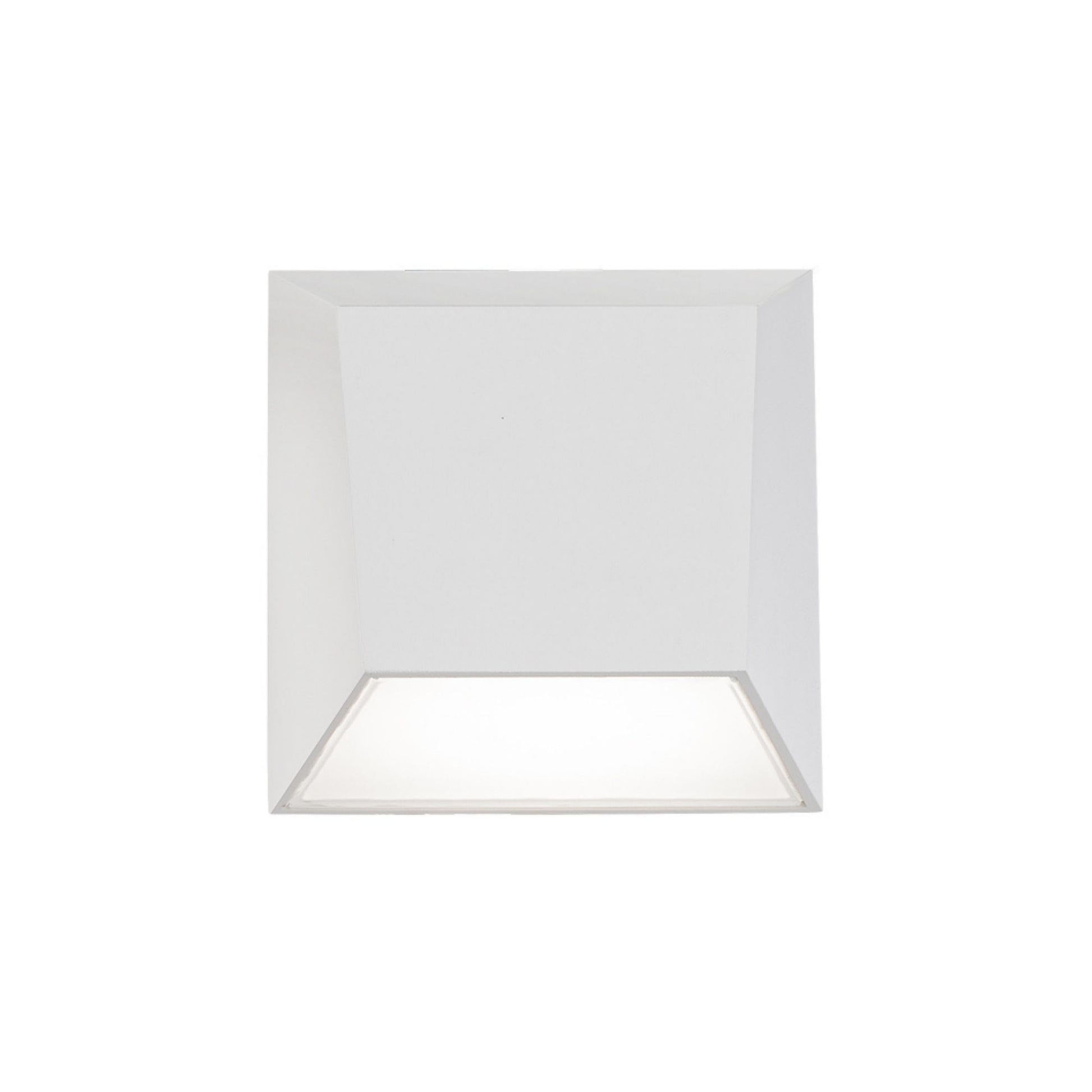 Atlantis Outdoor Wall Light - Bees Lighting