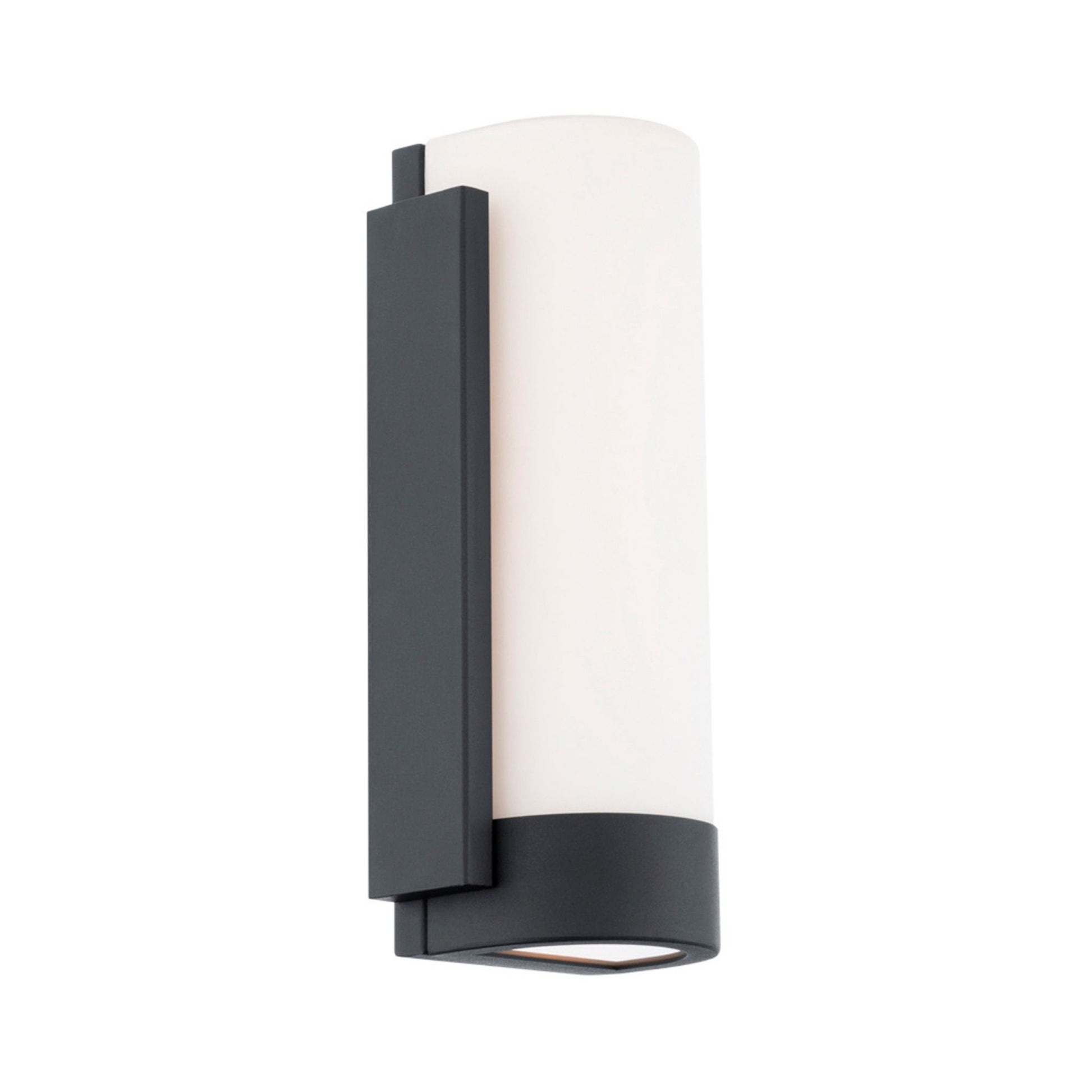 BLAKE 12 in. LED Wall Light 3000K Black finish - Bees Lighting