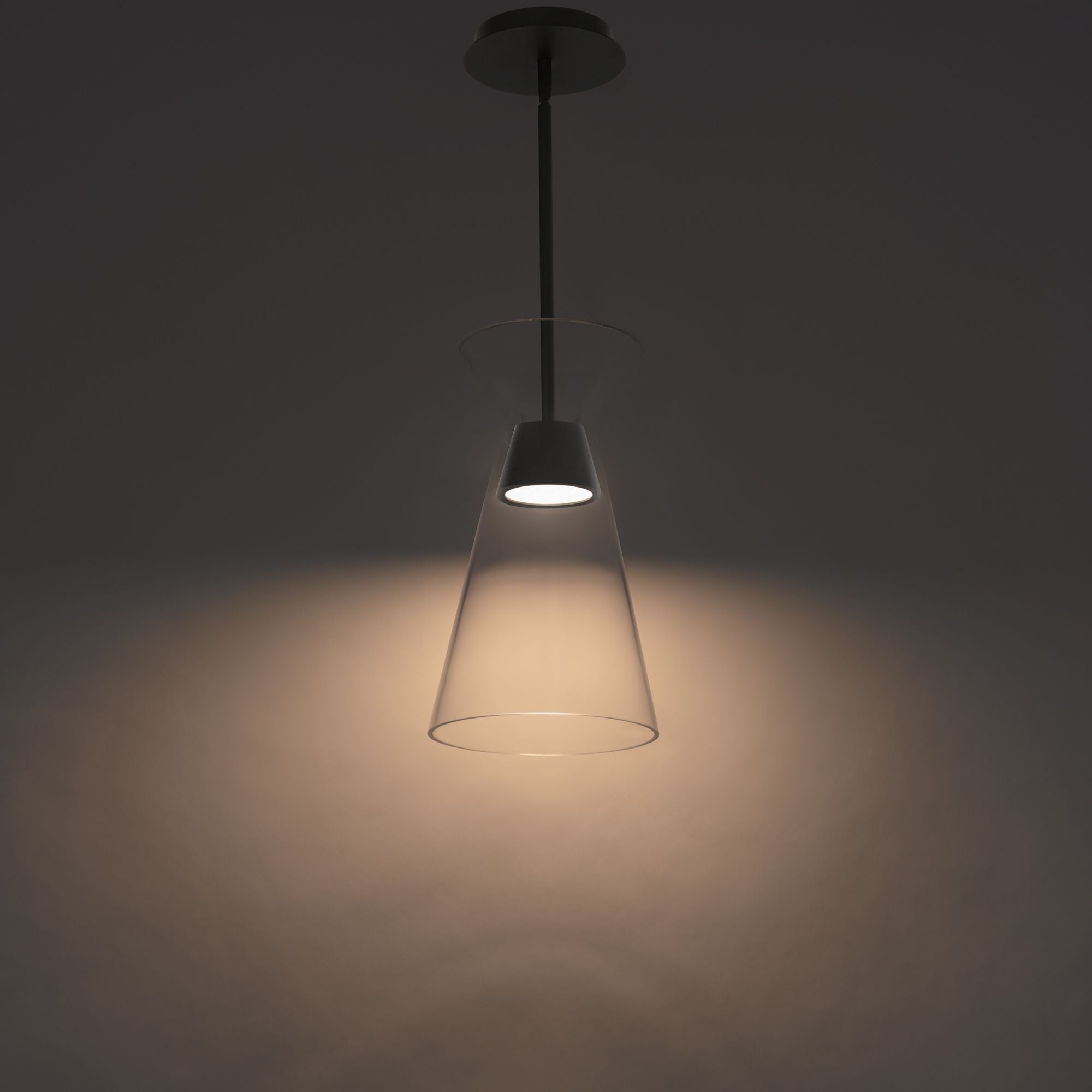 Chandra 14" LED Mini Pendant, Black Finish - Bees Lighting
