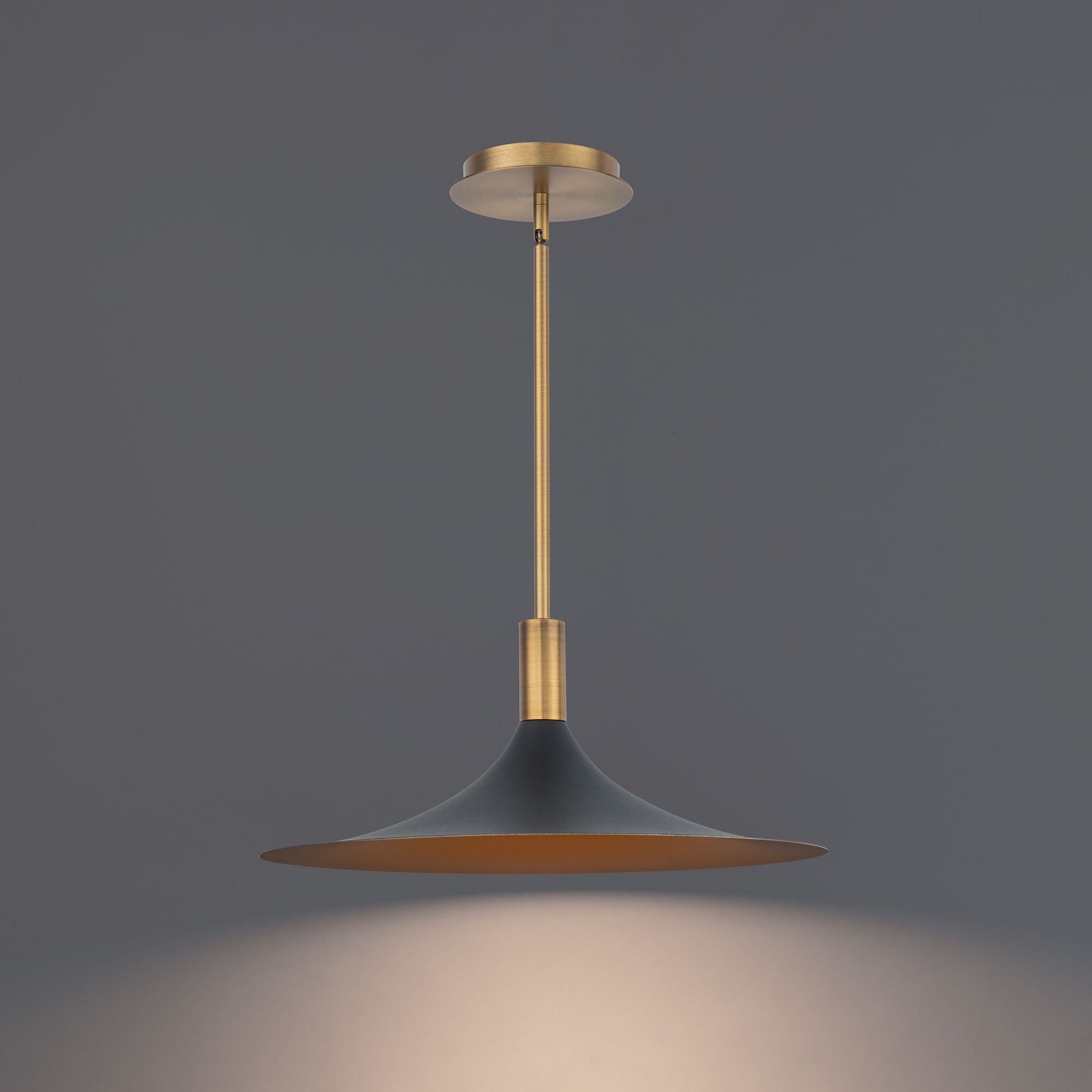 COCHERE 18 in. LED Pendant Light Black & Brass Finish - Bees Lighting