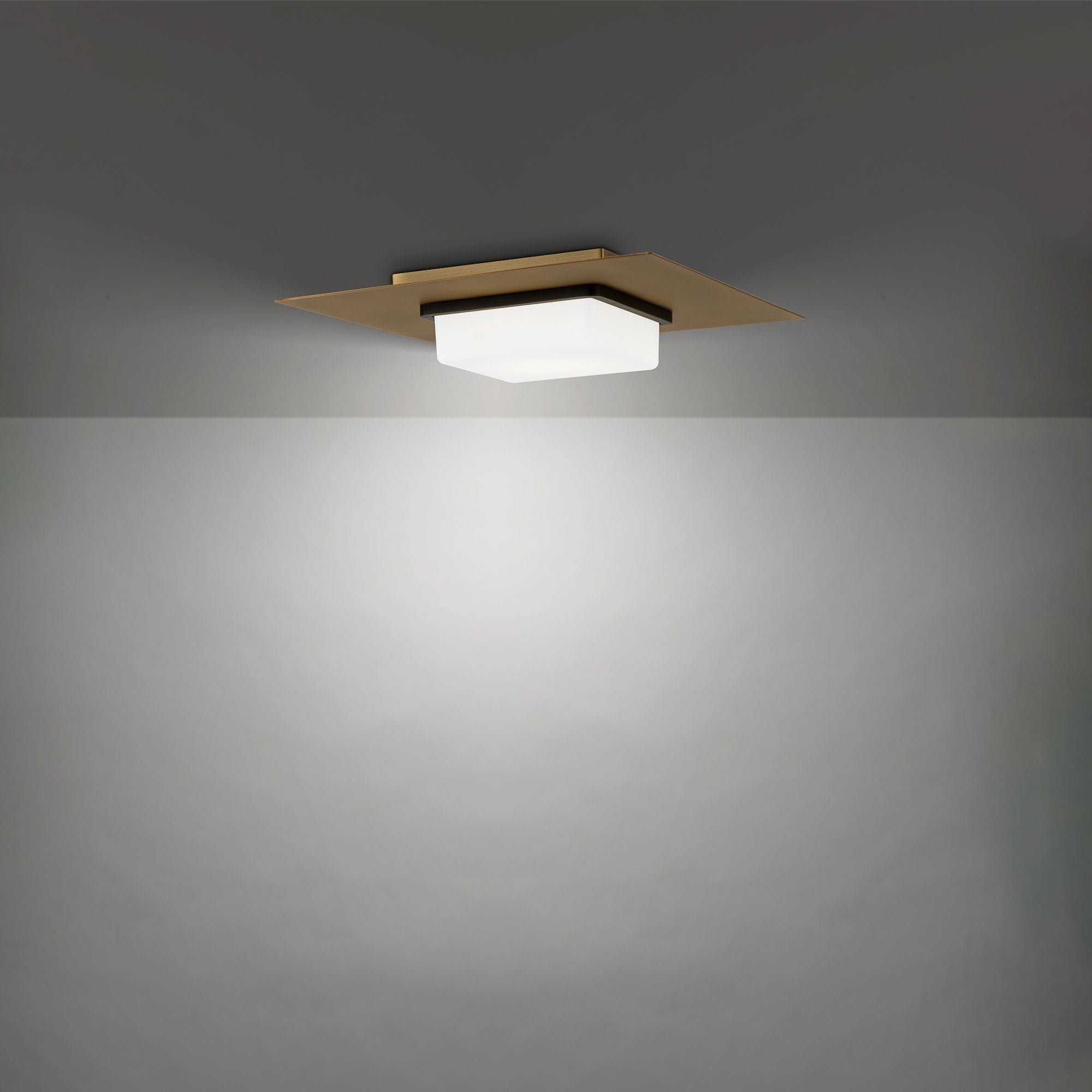 Double Decker 14" LED Flush Mount, 4CCT, Black/Aged Brass Finish