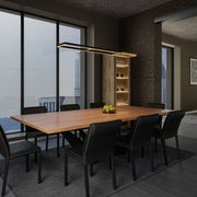 WAC Lighting Double Entendre 42 in. Pendant Light, Black & Aged Brass