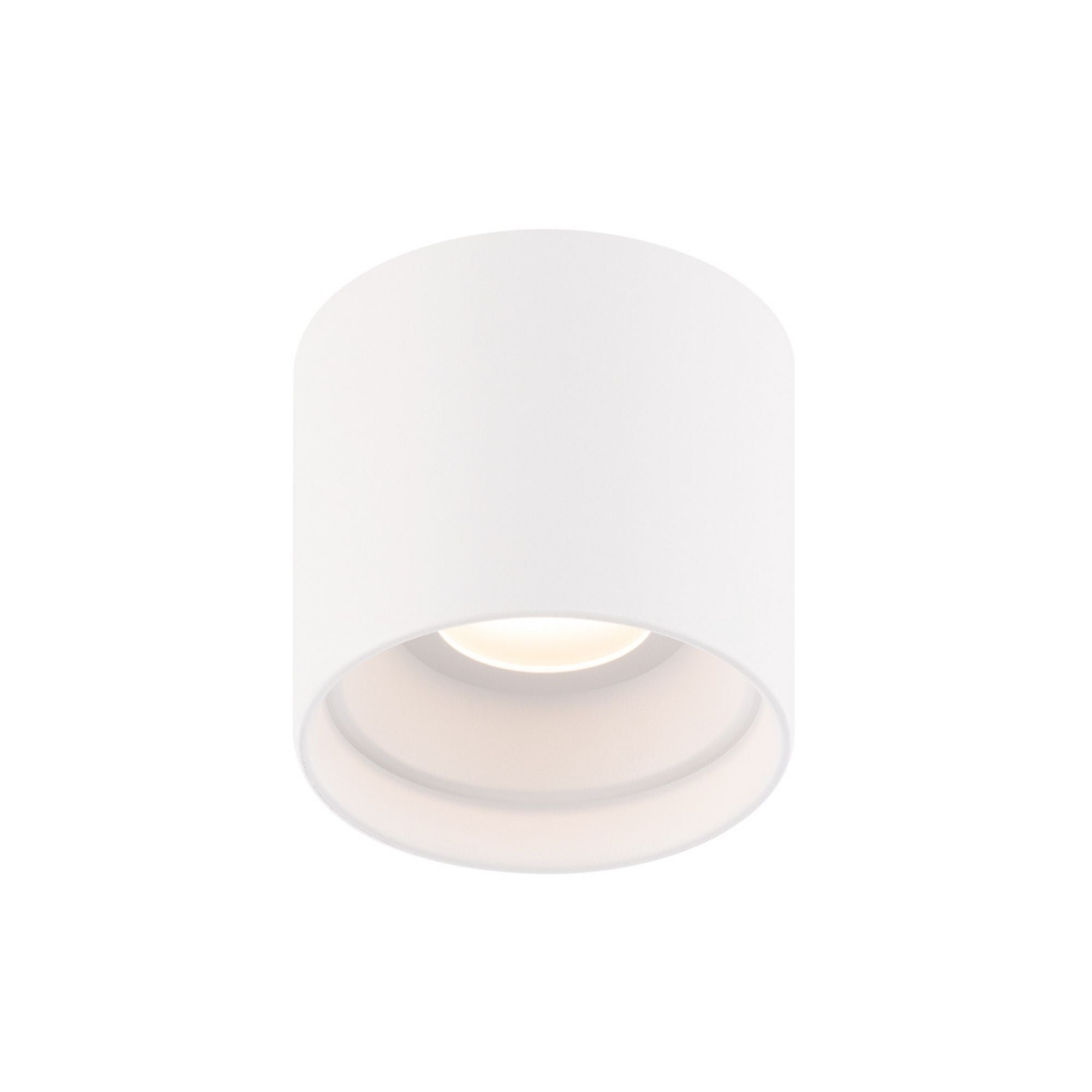 Downtown Round Outdoor Ceiling Mount - Bees Lighting
