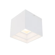 Downtown Square Outdoor Ceiling Mount - Bees Lighting