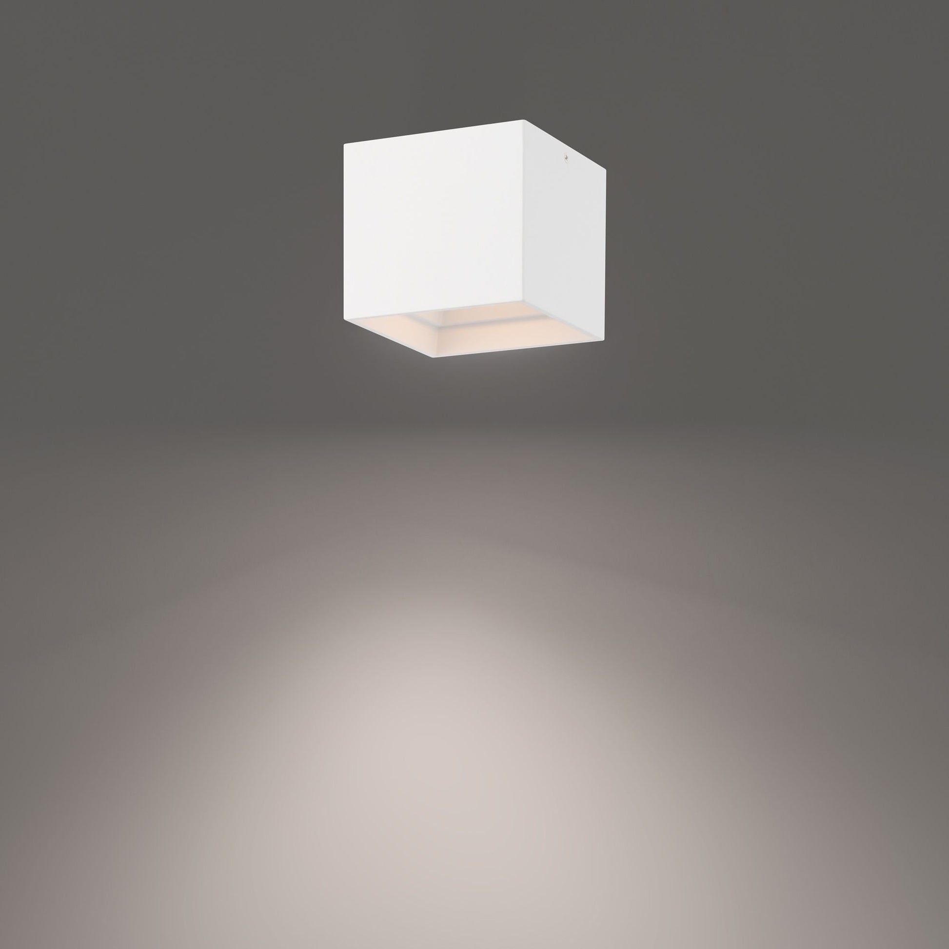 Downtown Square Outdoor Ceiling Mount - Bees Lighting