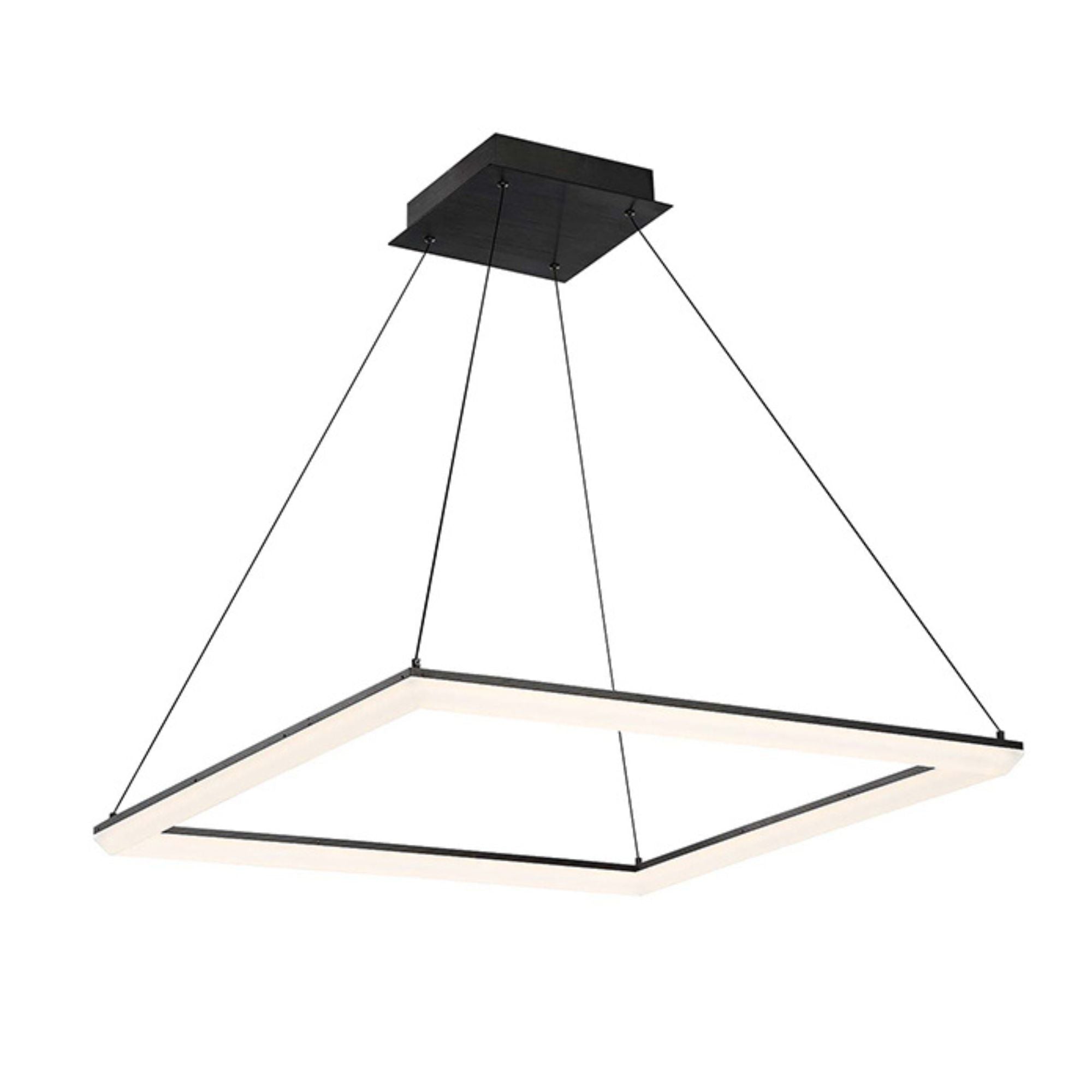Frame Pendant - Bees Lighting