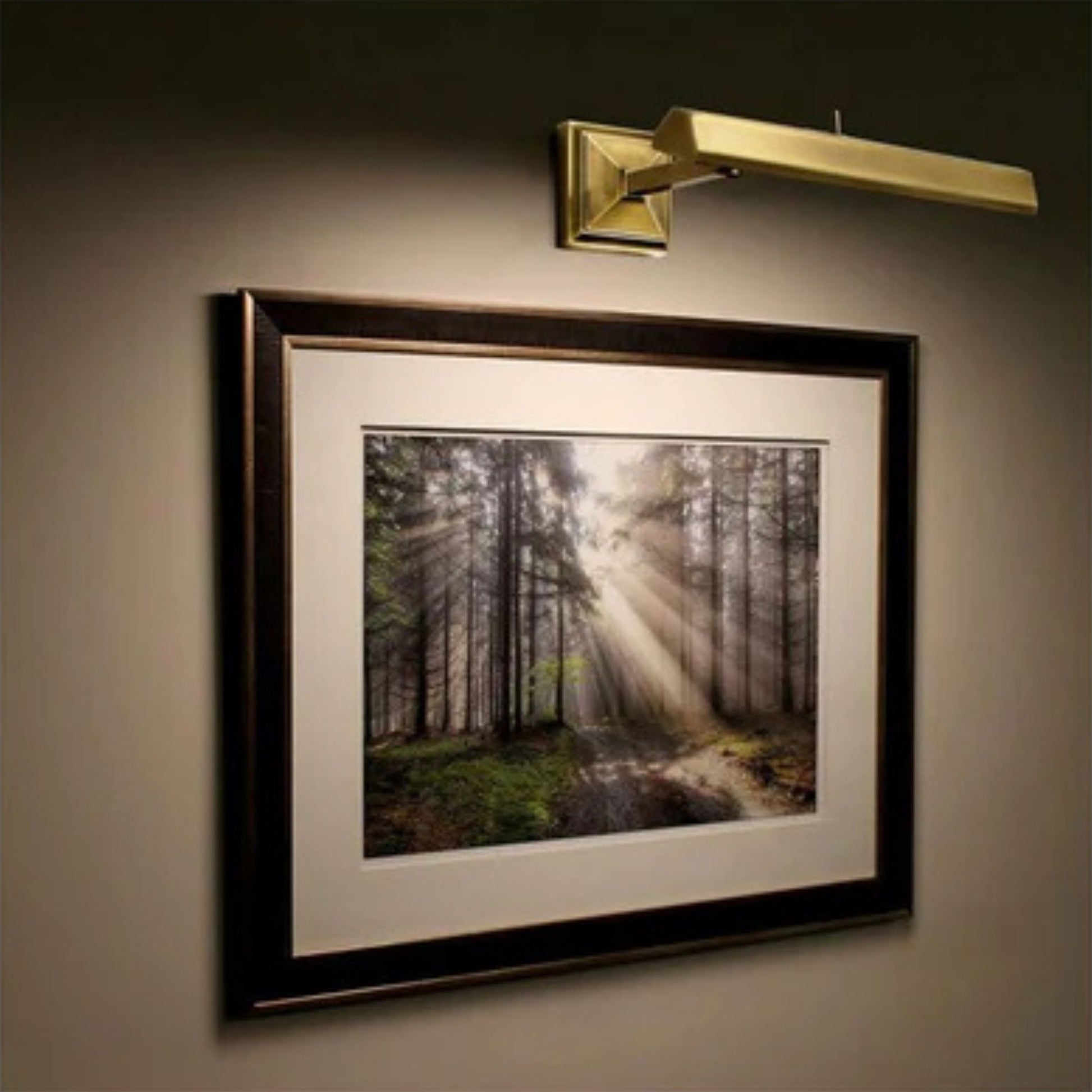 Hemmingway Picture Light 2700K - Bees Lighting