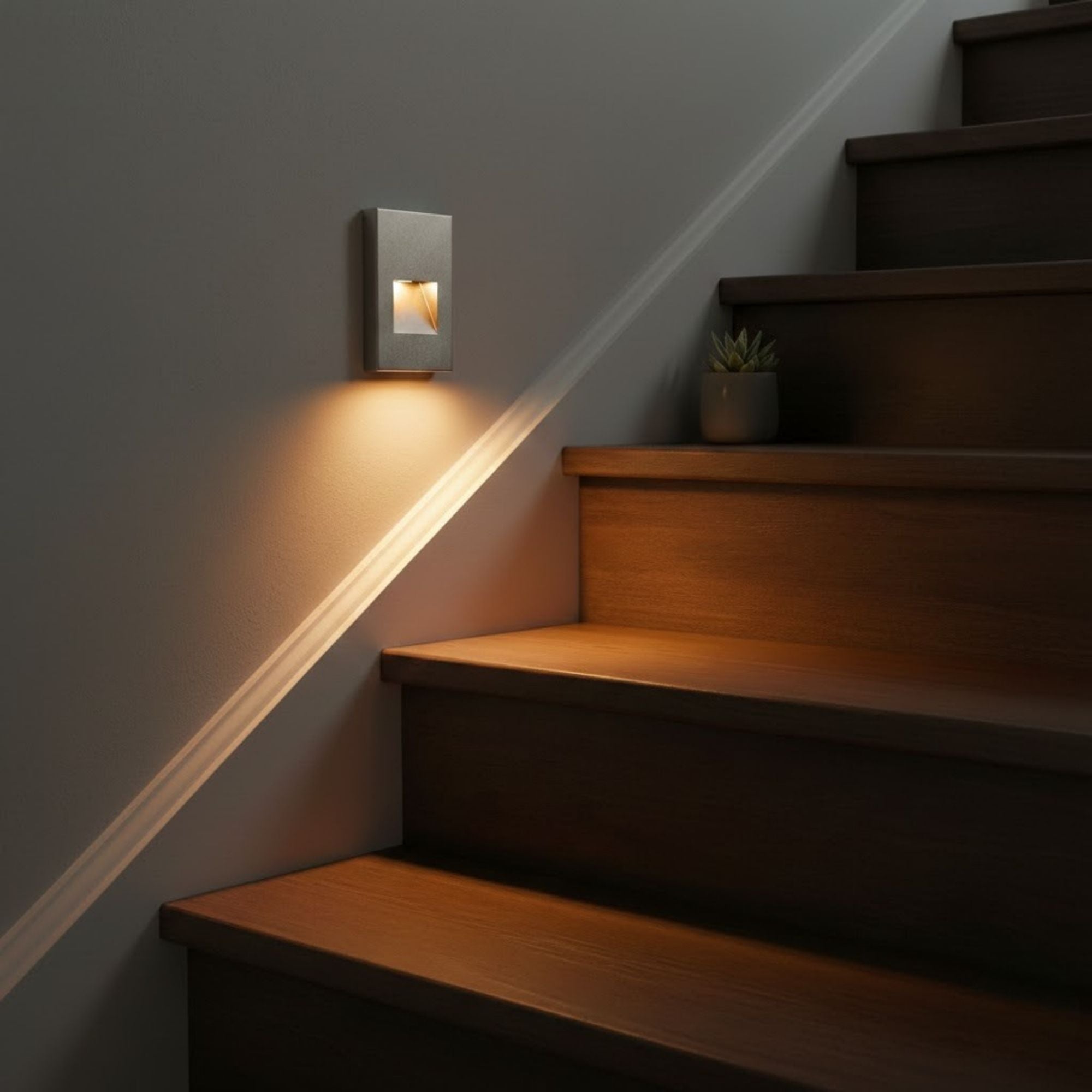 5" High LED Step and Wall Light, Stainless Steel Finish, 3000K