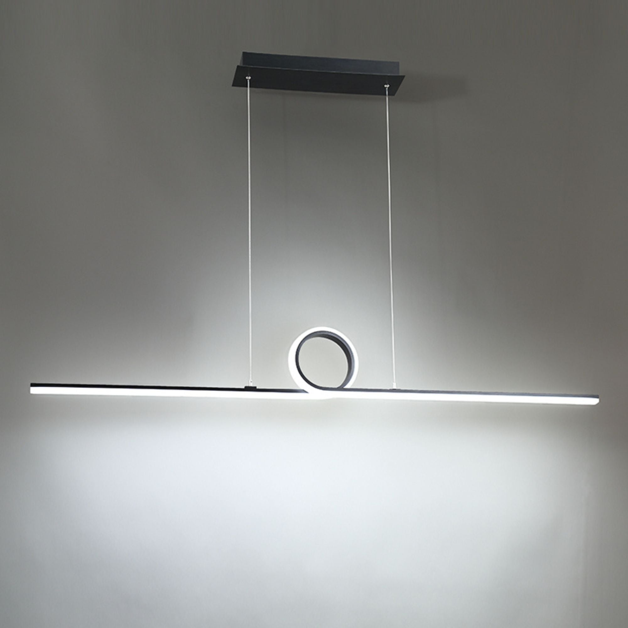 Loophole 52 in. LED Pendant Light Black Finish - Bees Lighting