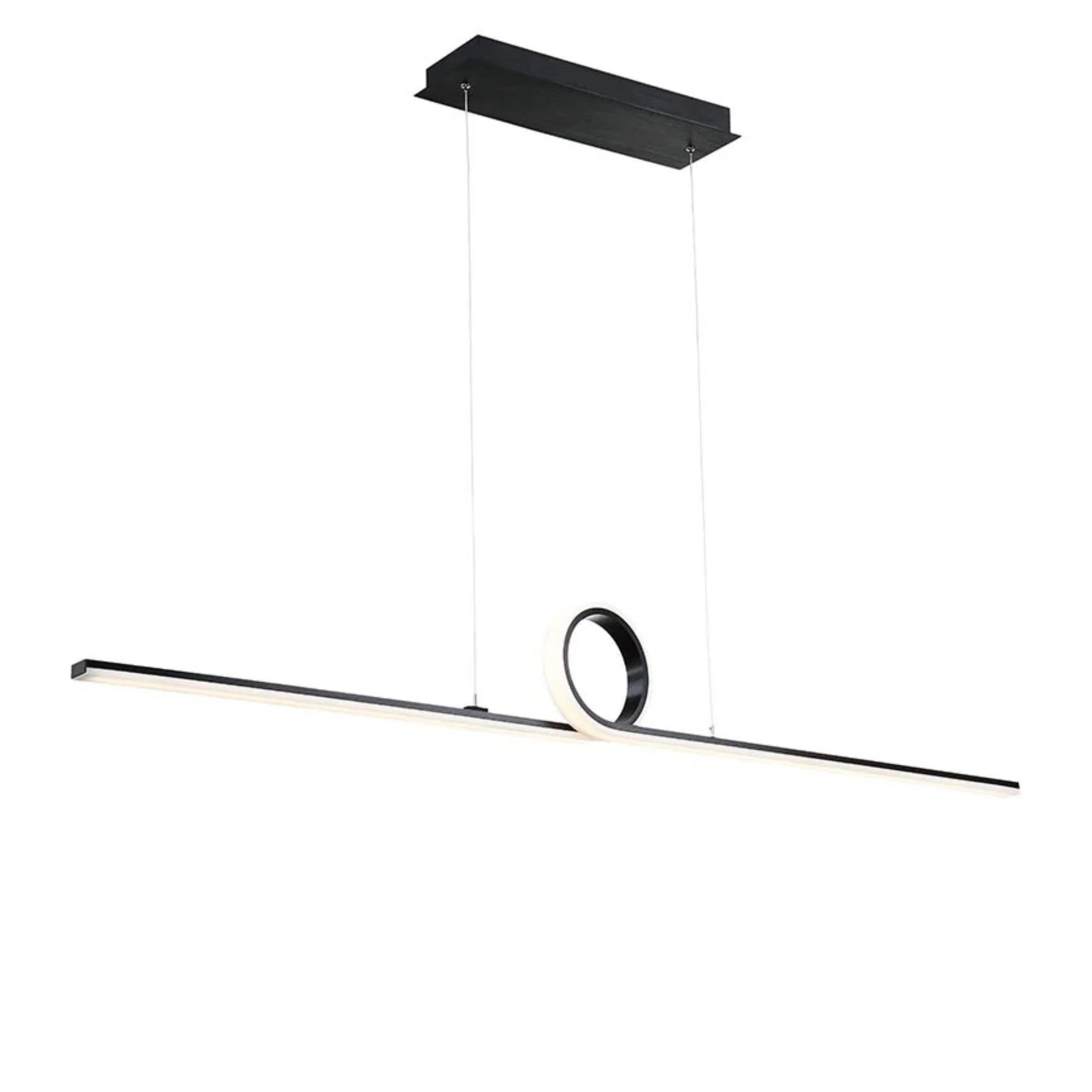 Loophole 52" LED Pendant, Black Finish - Bees Lighting