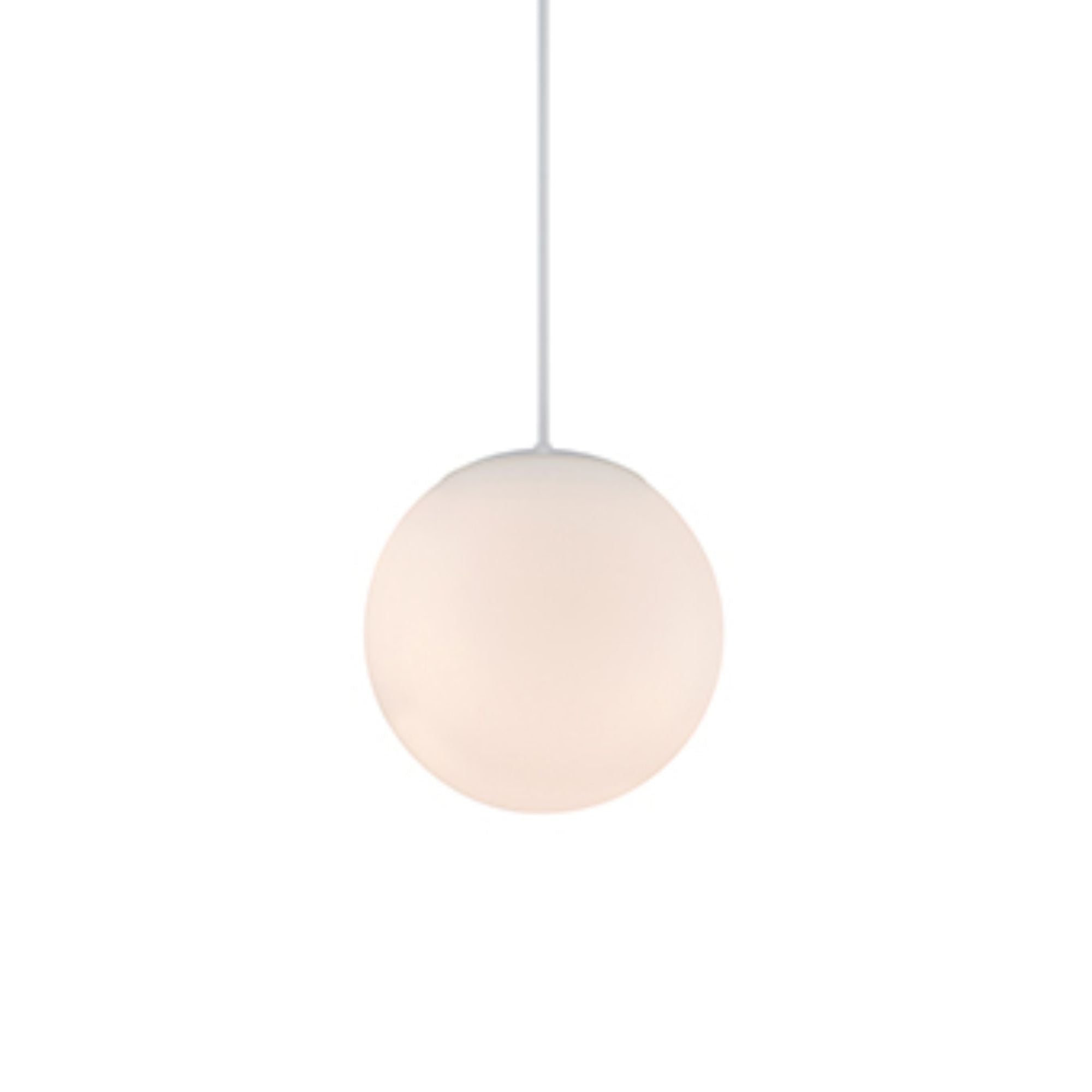 Niveous Pendant - Bees Lighting