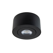 Peek Outdoor Ceiling Mount - Bees Lighting