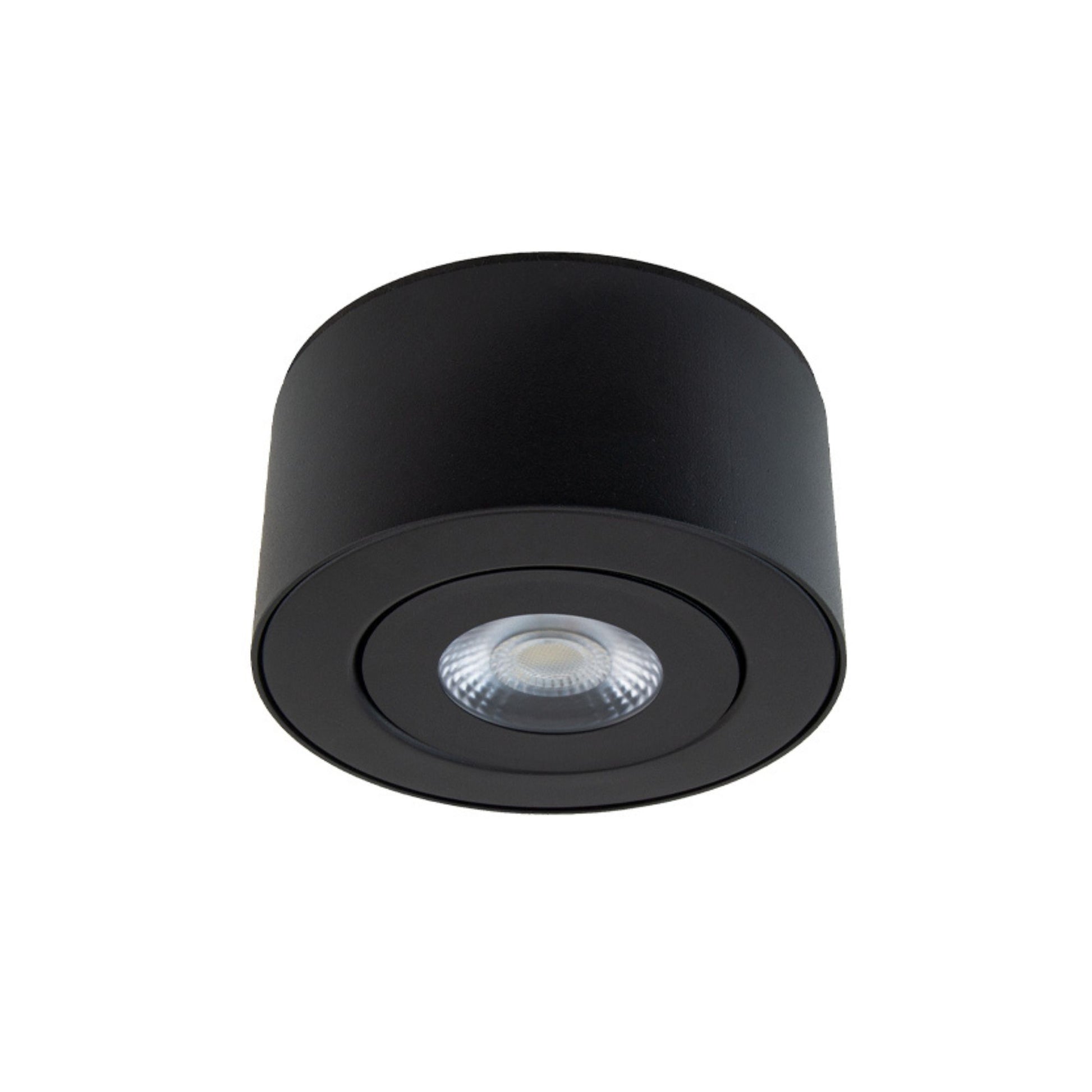 Peek Outdoor Ceiling Mount - Bees Lighting