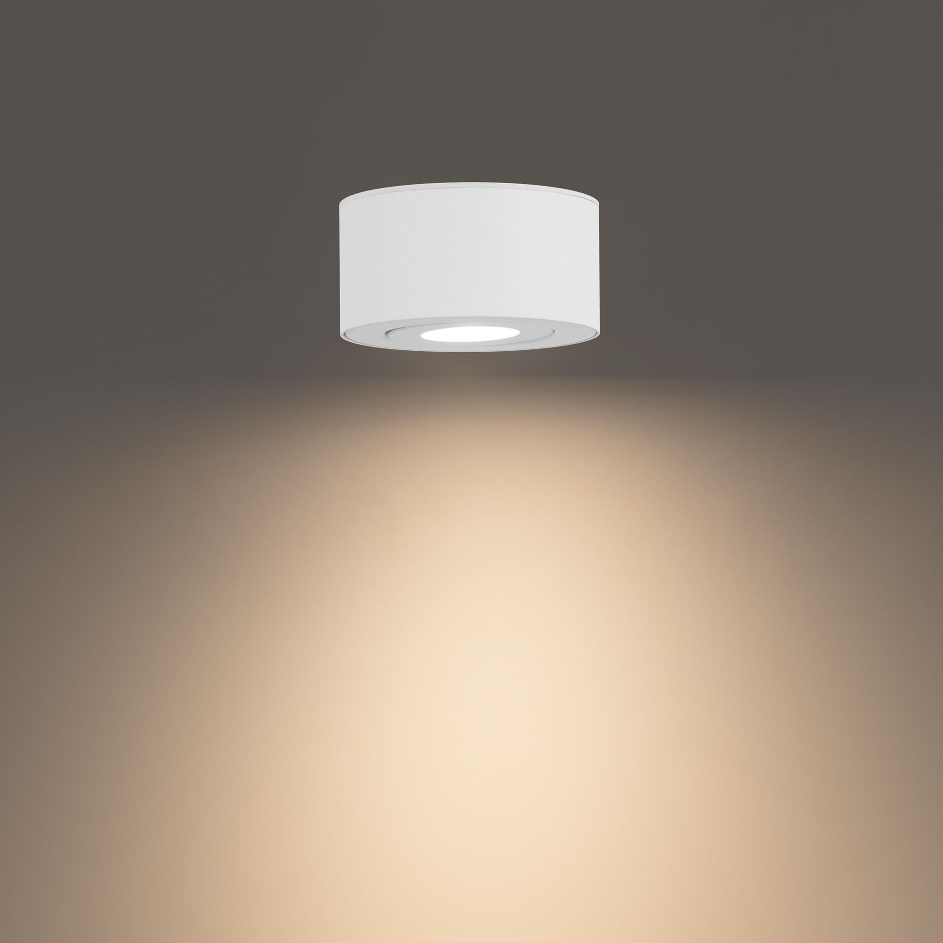 Peek 5" LED Outdoor Flush Mount, 3CCT, White Finish - Bees Lighting