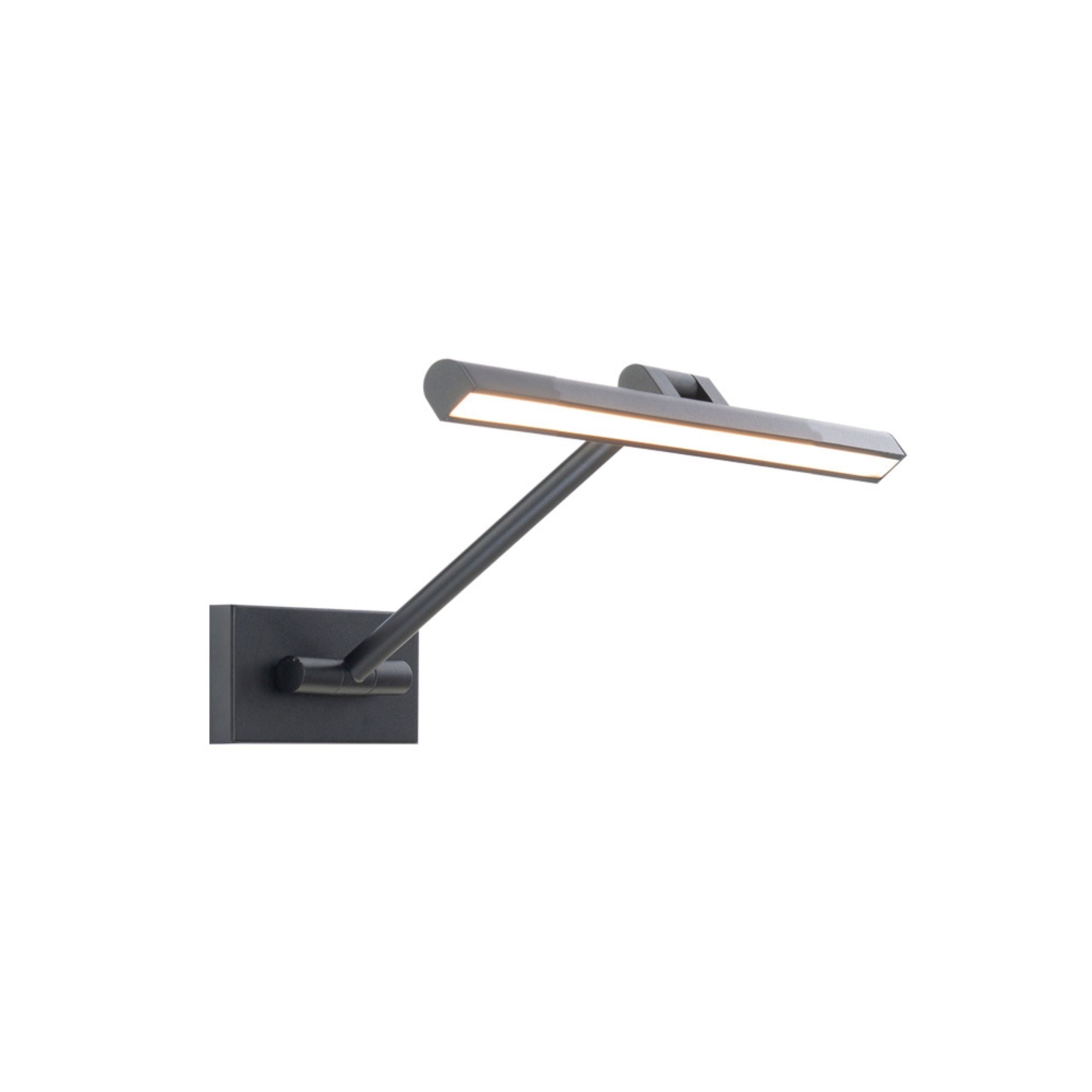 Reed Picture Light 3000K - Bees Lighting