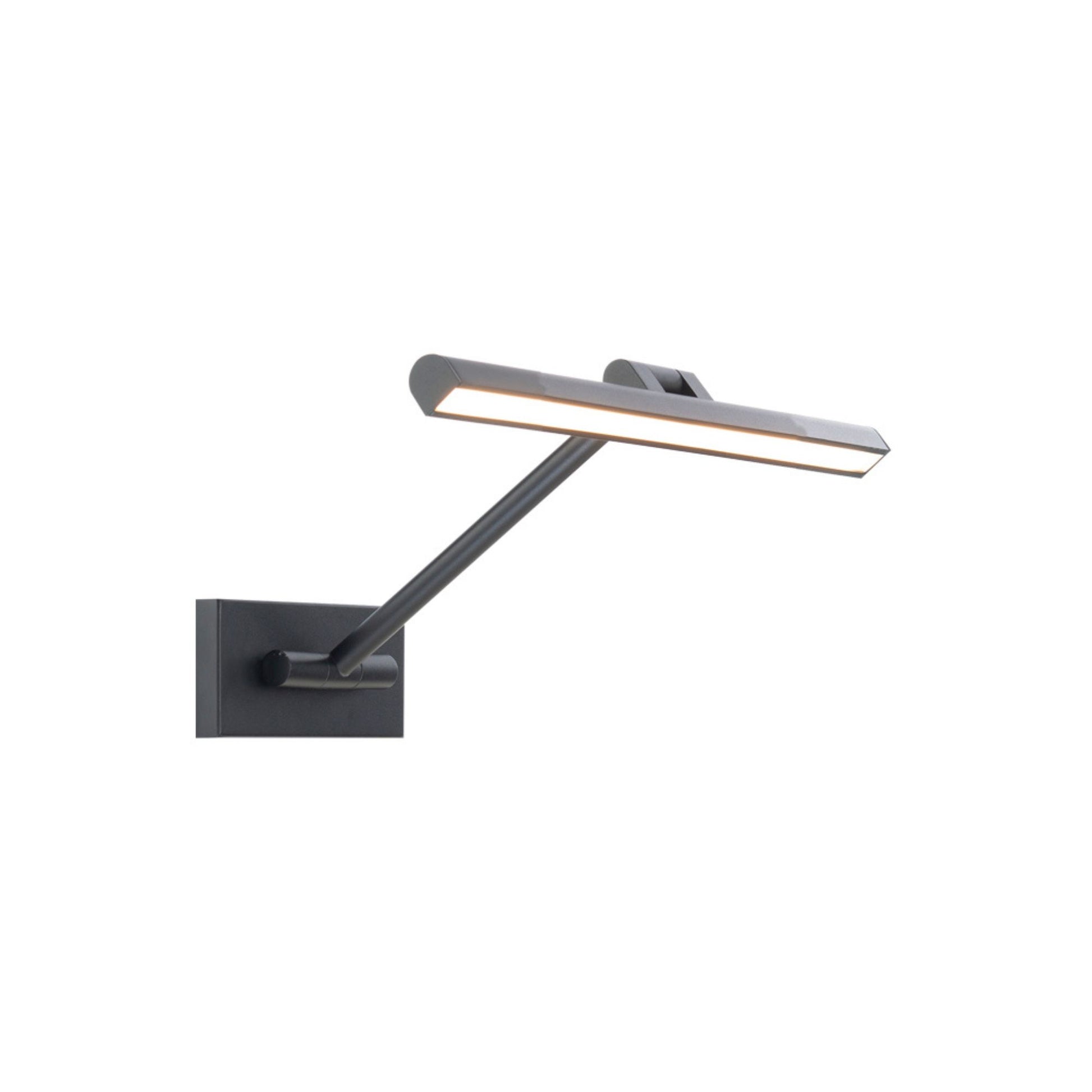 Reed Picture Light 3000K - Bees Lighting