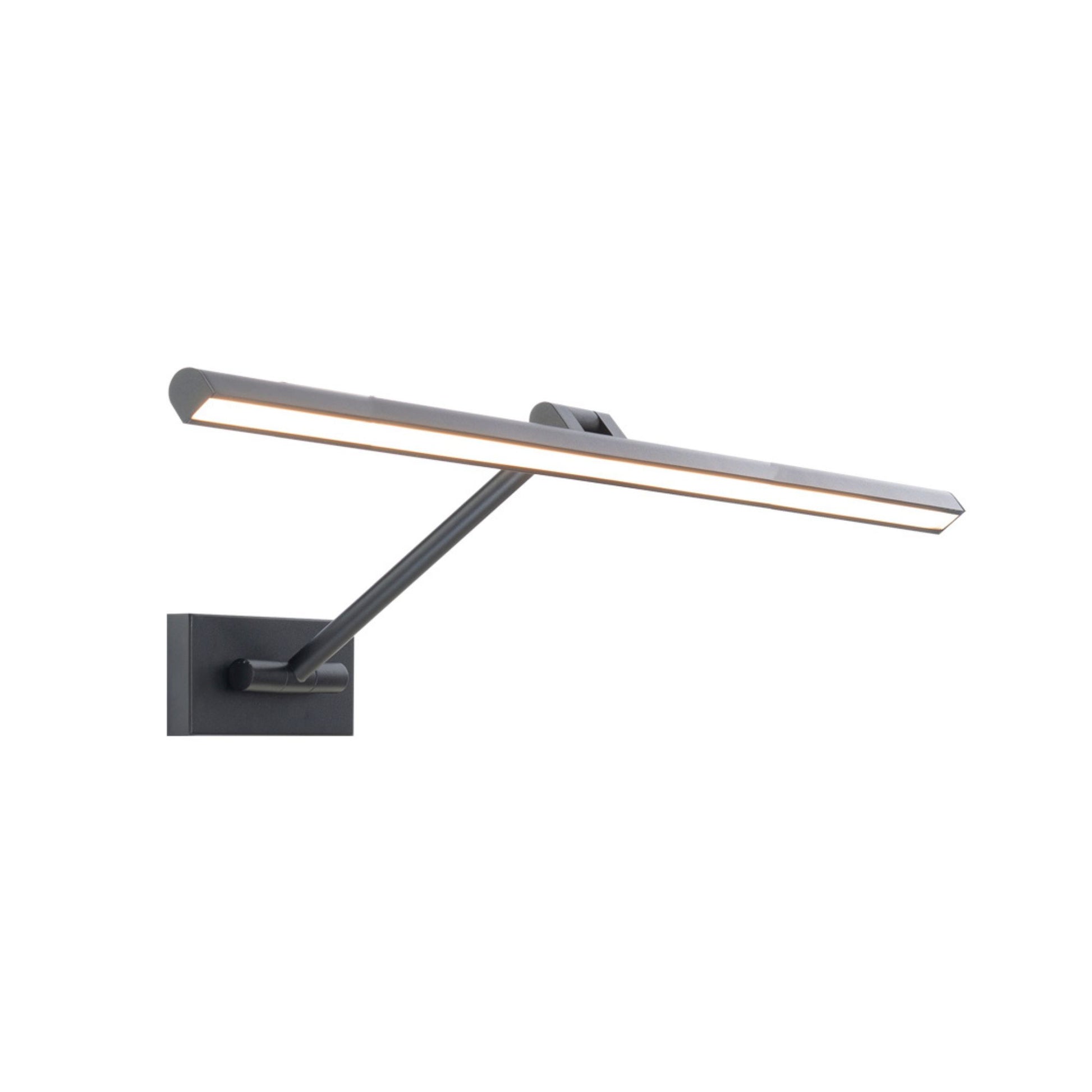 Reed Picture Light 3000K - Bees Lighting