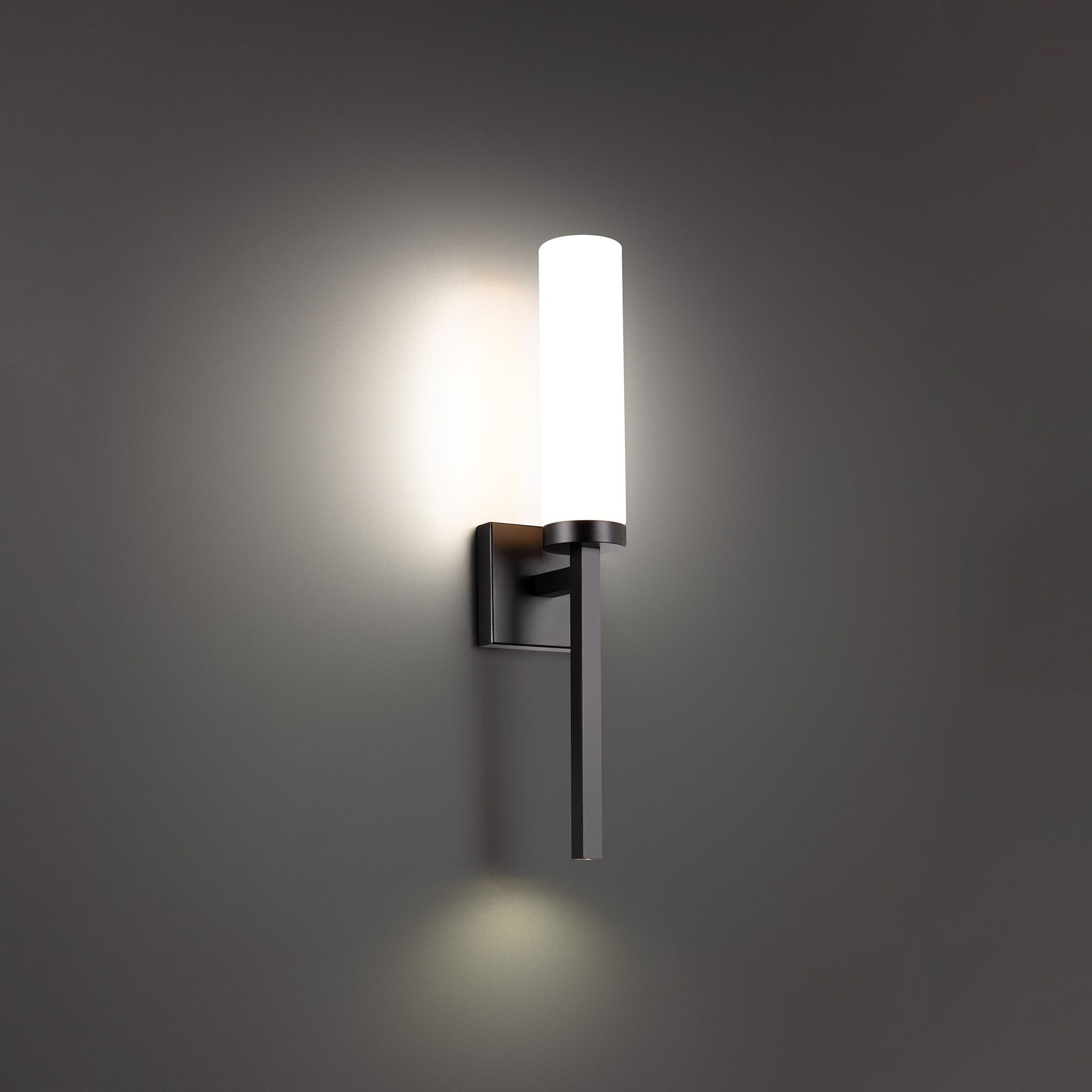 Saltaire 22 in. LED Wall Light Black finish - Bees Lighting