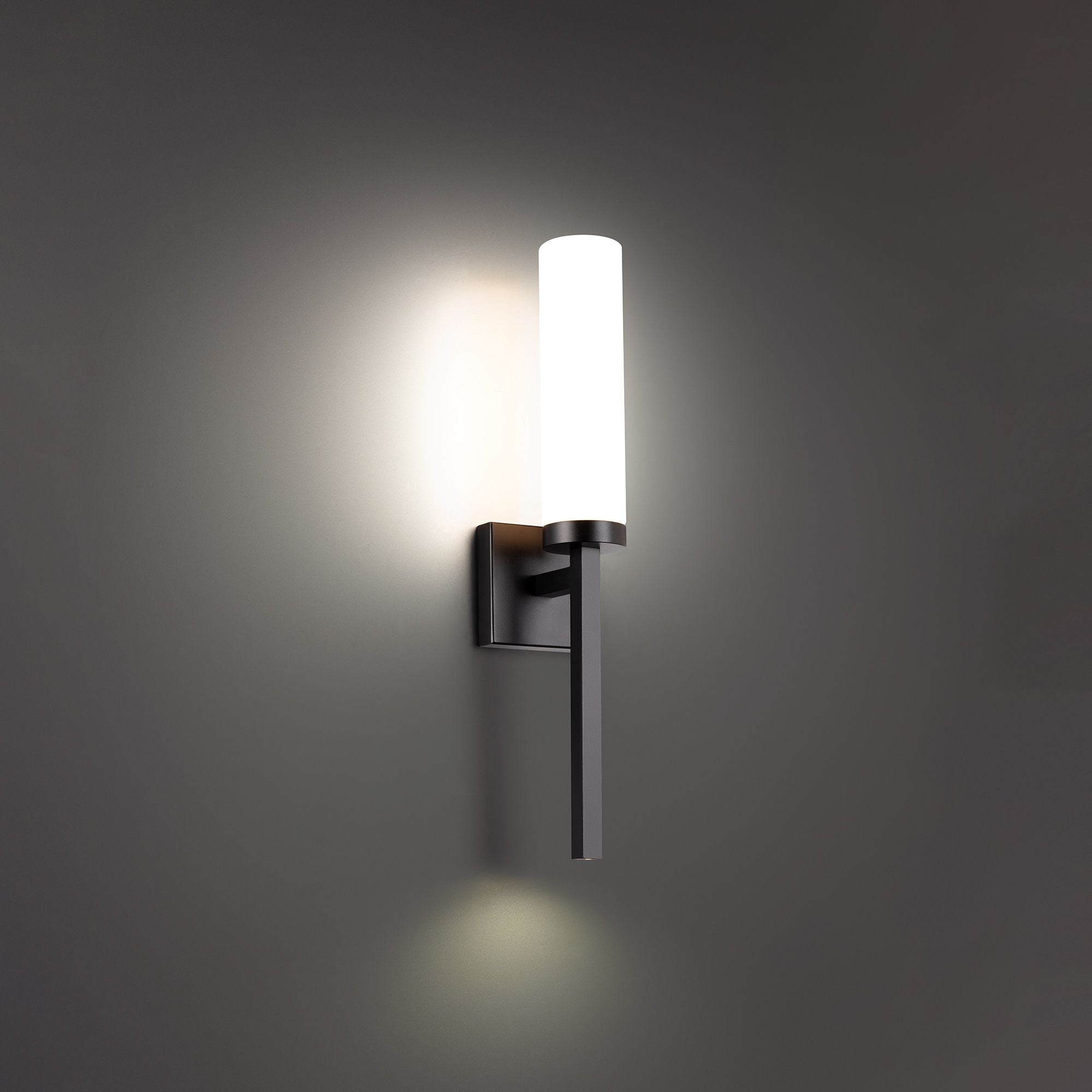 Saltaire 22 in. LED Wall Light Black finish - Bees Lighting