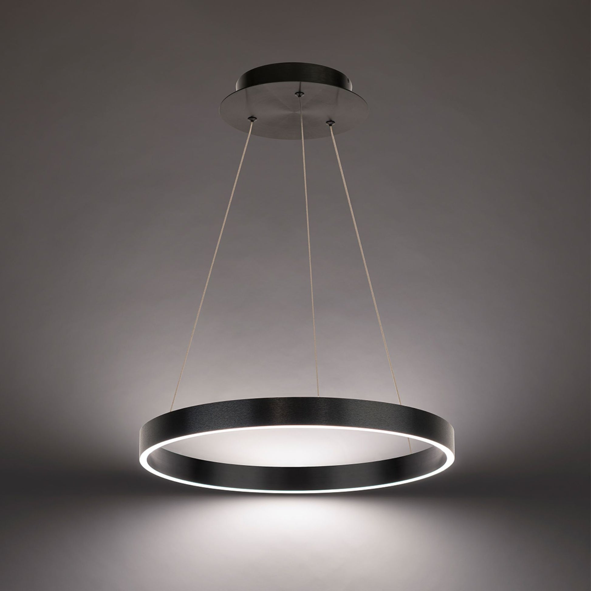 Sirius 18" LED Pendant, Brushed Black Finish - Bees Lighting