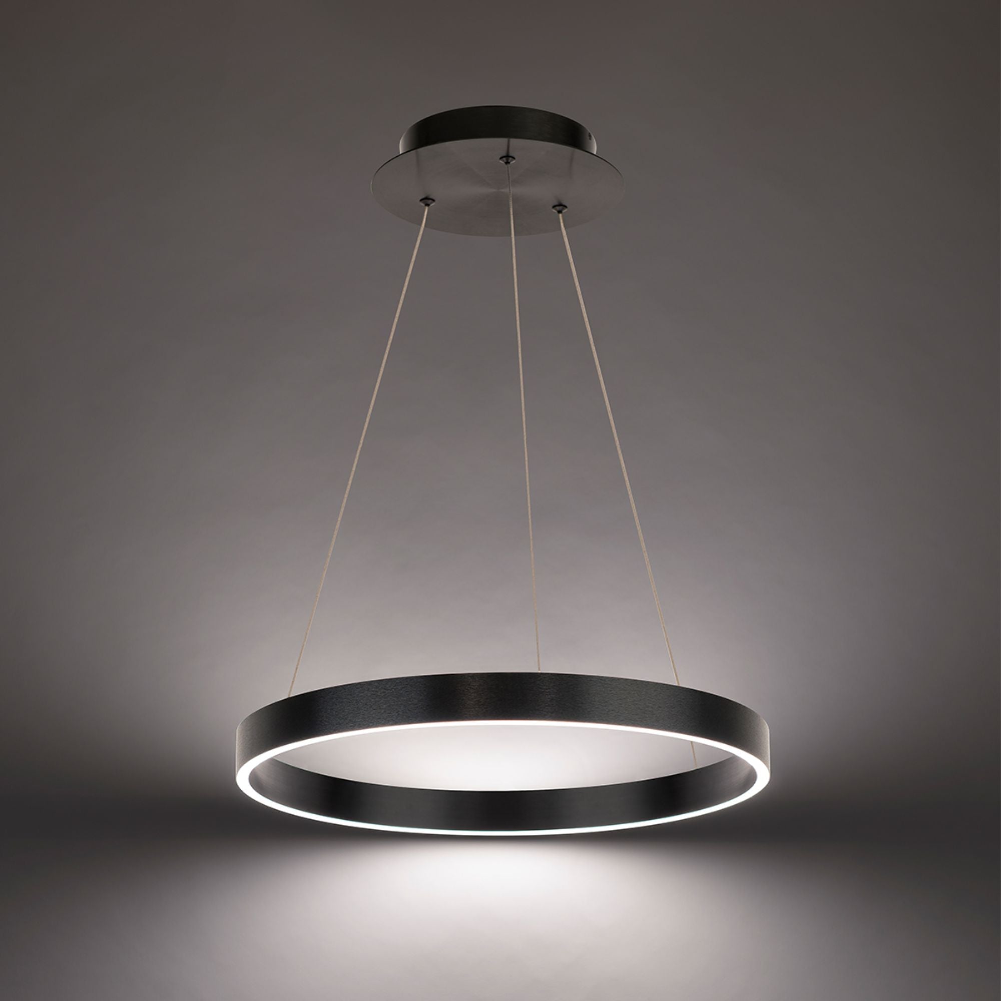 Sirius 18" LED Pendant, Brushed Black Finish - Bees Lighting